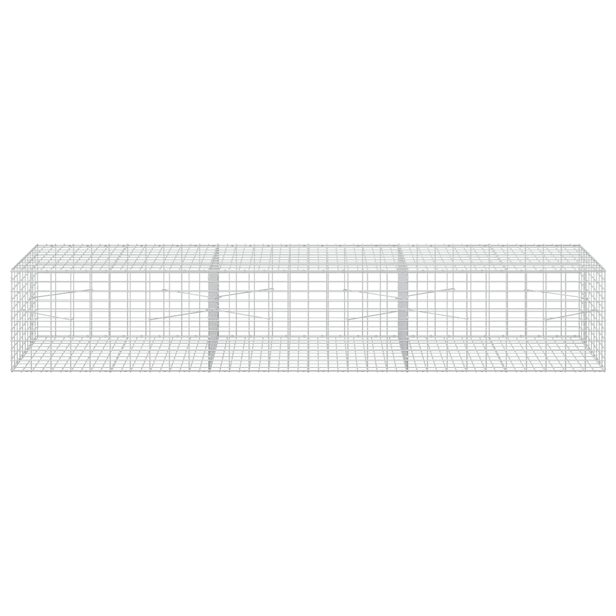 vidaXL Gabion z drutu 3,5 mm i siatką 5x10 cm 300x100x50 cm
