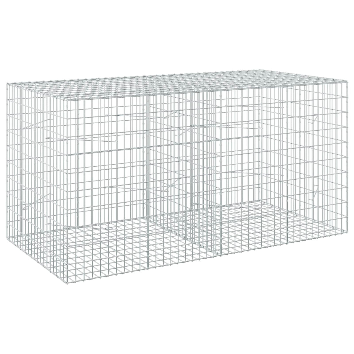 vidaXL Gabion z drutu 3,5 mm i siatką 5x10 cm 200x100x100 cm