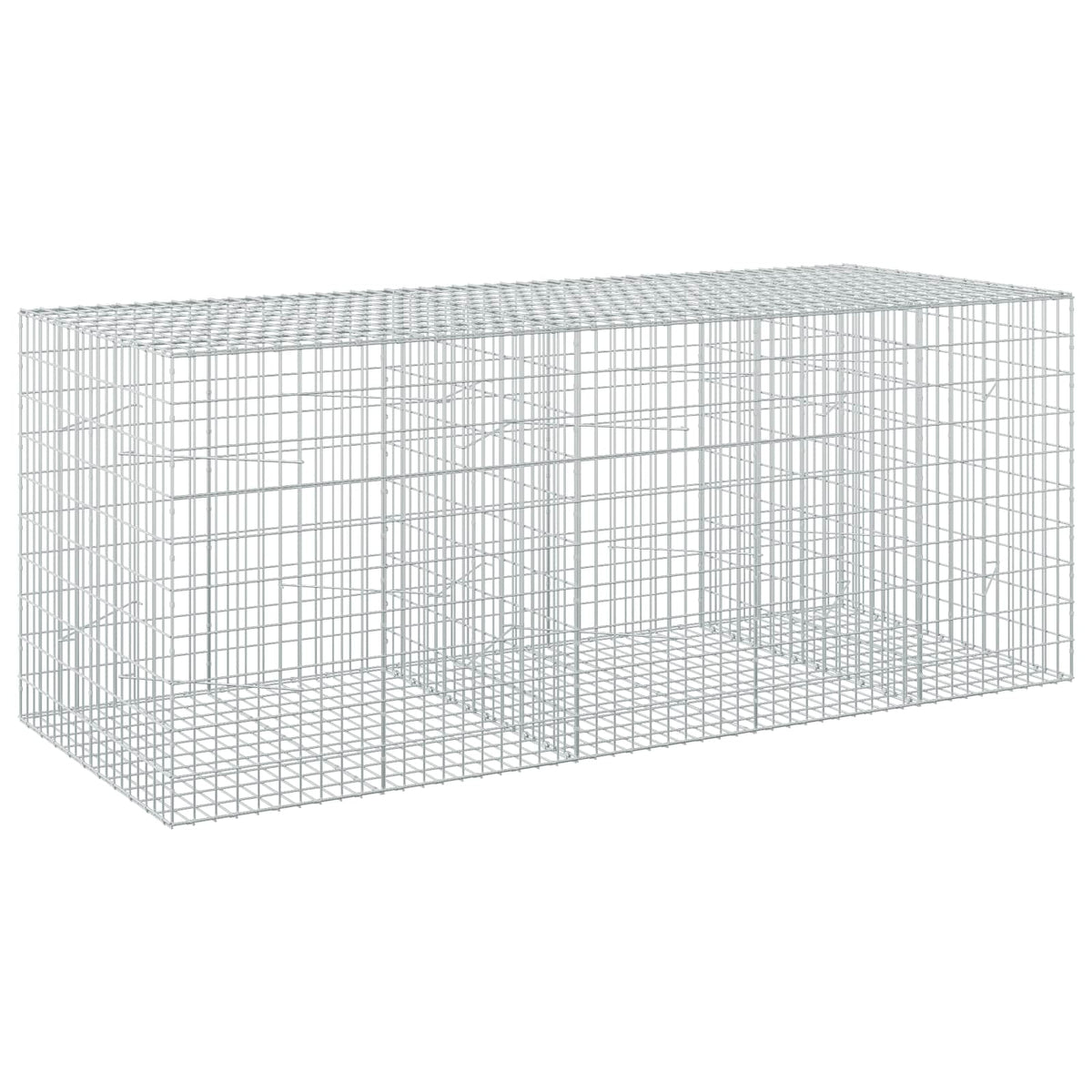 vidaXL Gabion z drutu 3,5 mm i siatką 5x10 cm 250x100x100 cm