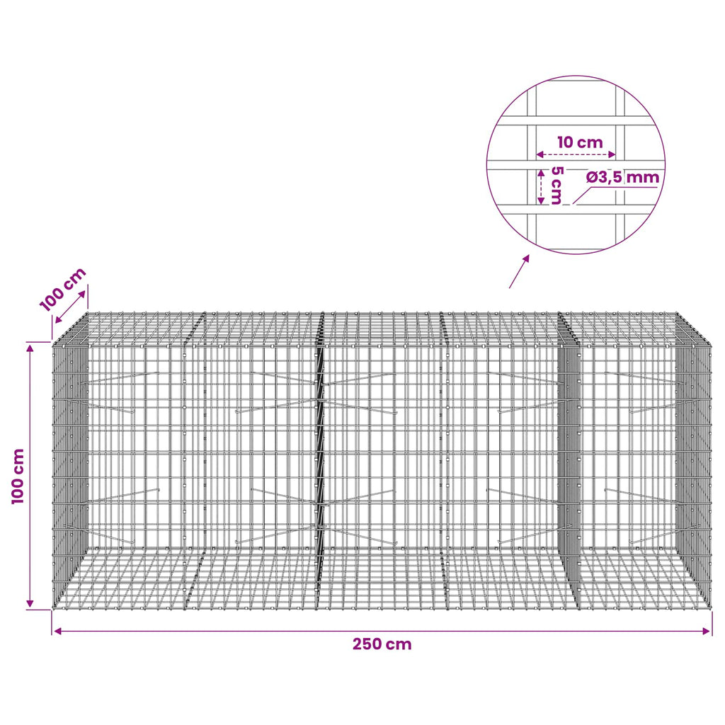 vidaXL Gabion z drutu 3,5 mm i siatką 5x10 cm 250x100x100 cm