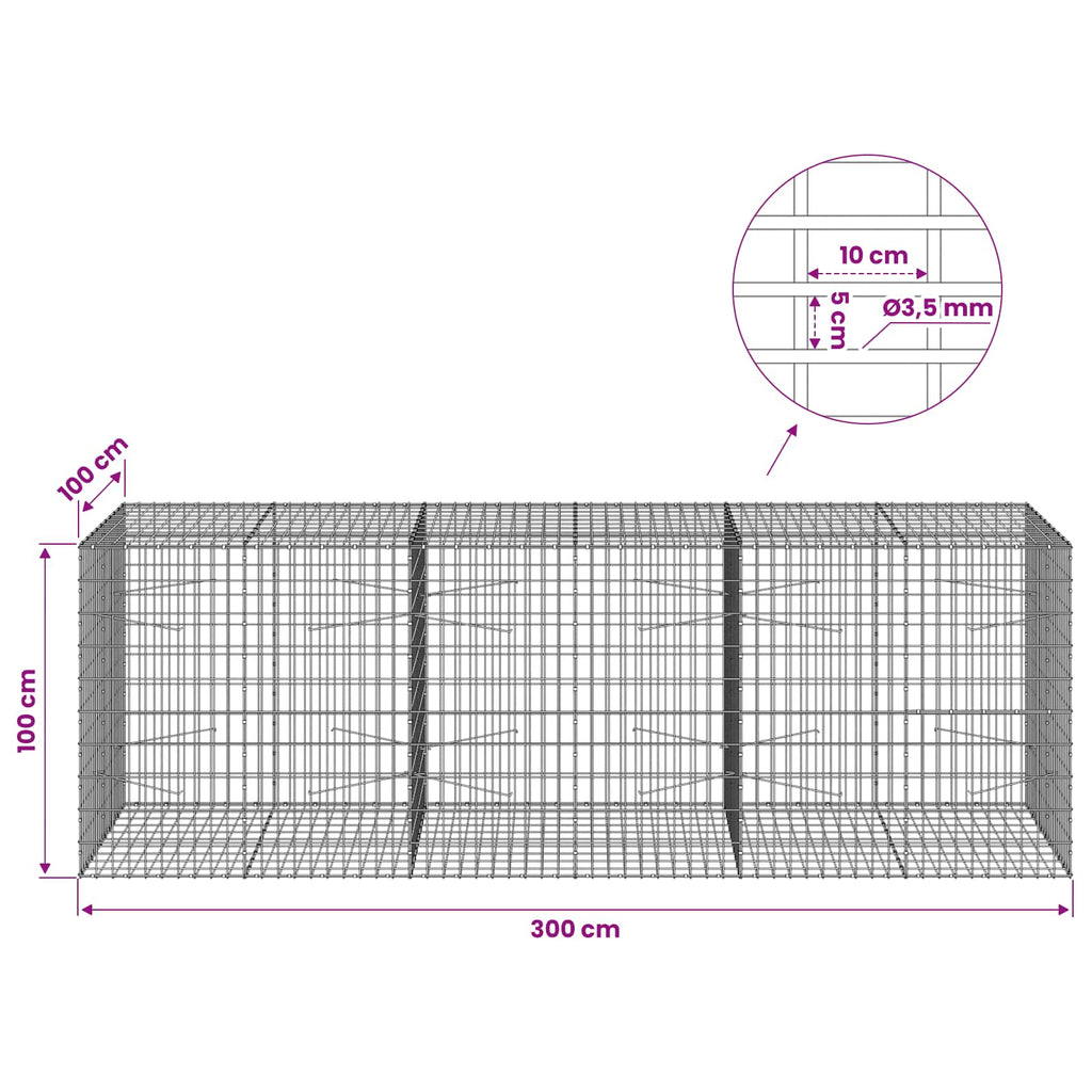 vidaXL Gabion z drutu 3,5 mm i siatką 5x10 cm 300x100x100 cm