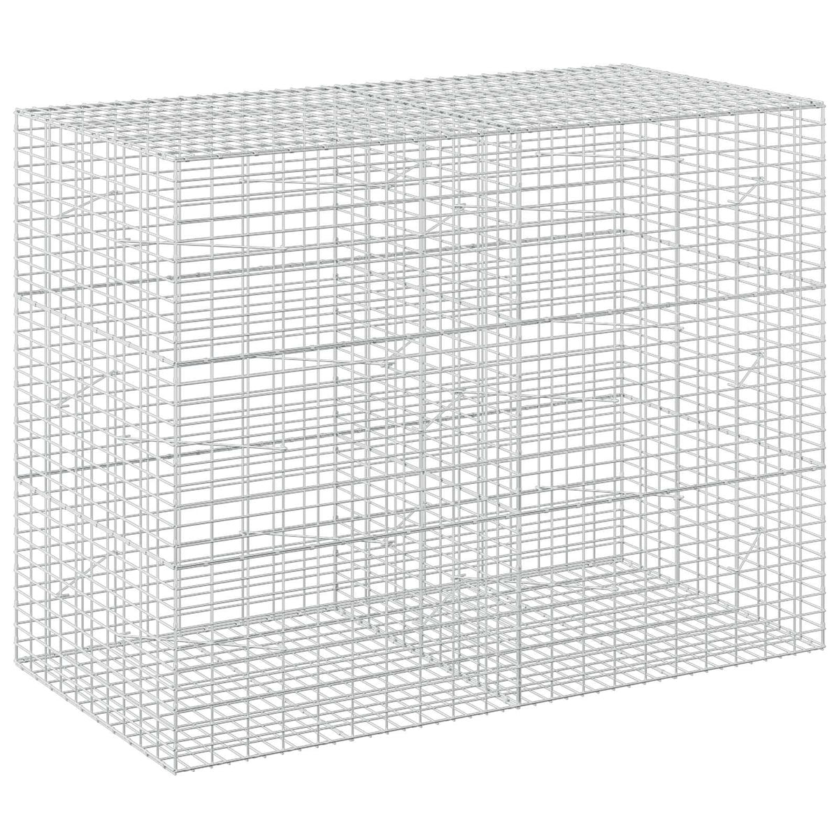 vidaXL Gabion z drutu 3,5 mm i siatką 5x10 cm 200x100x150 cm