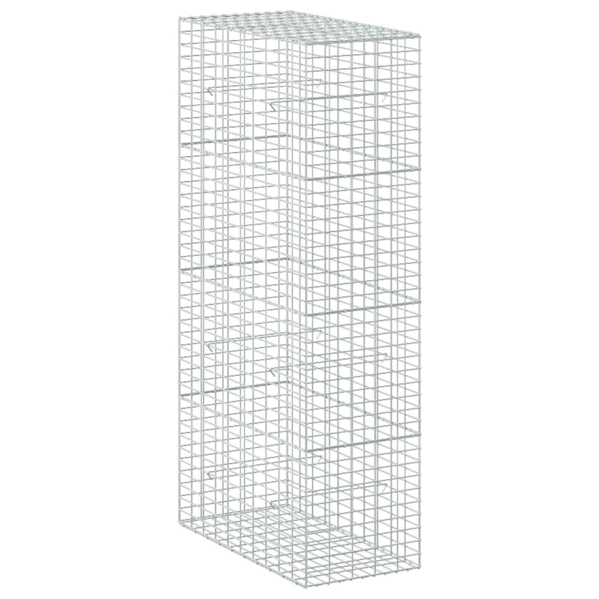 vidaXL Gabion z drutu 3,5 mm i siatką 5x10 cm 50x100x200 cm