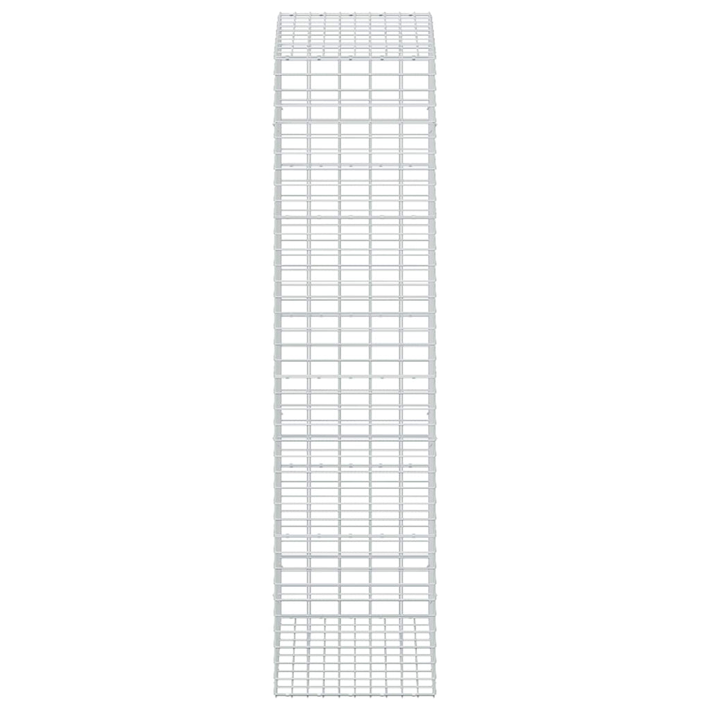 vidaXL Gabion z drutu 3,5 mm i siatką 5x10 cm 50x100x200 cm