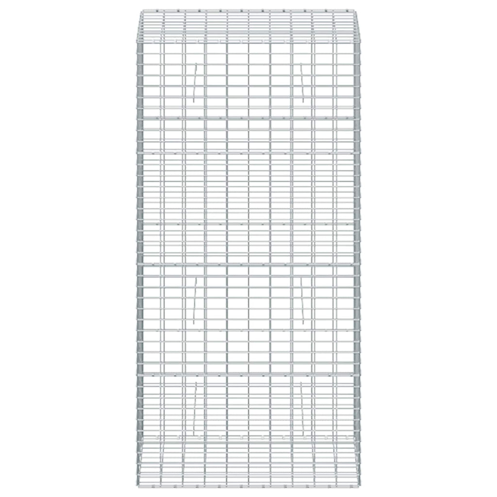 vidaXL Gabion z drutu 3,5 mm i siatką 5x10 cm 50x100x200 cm