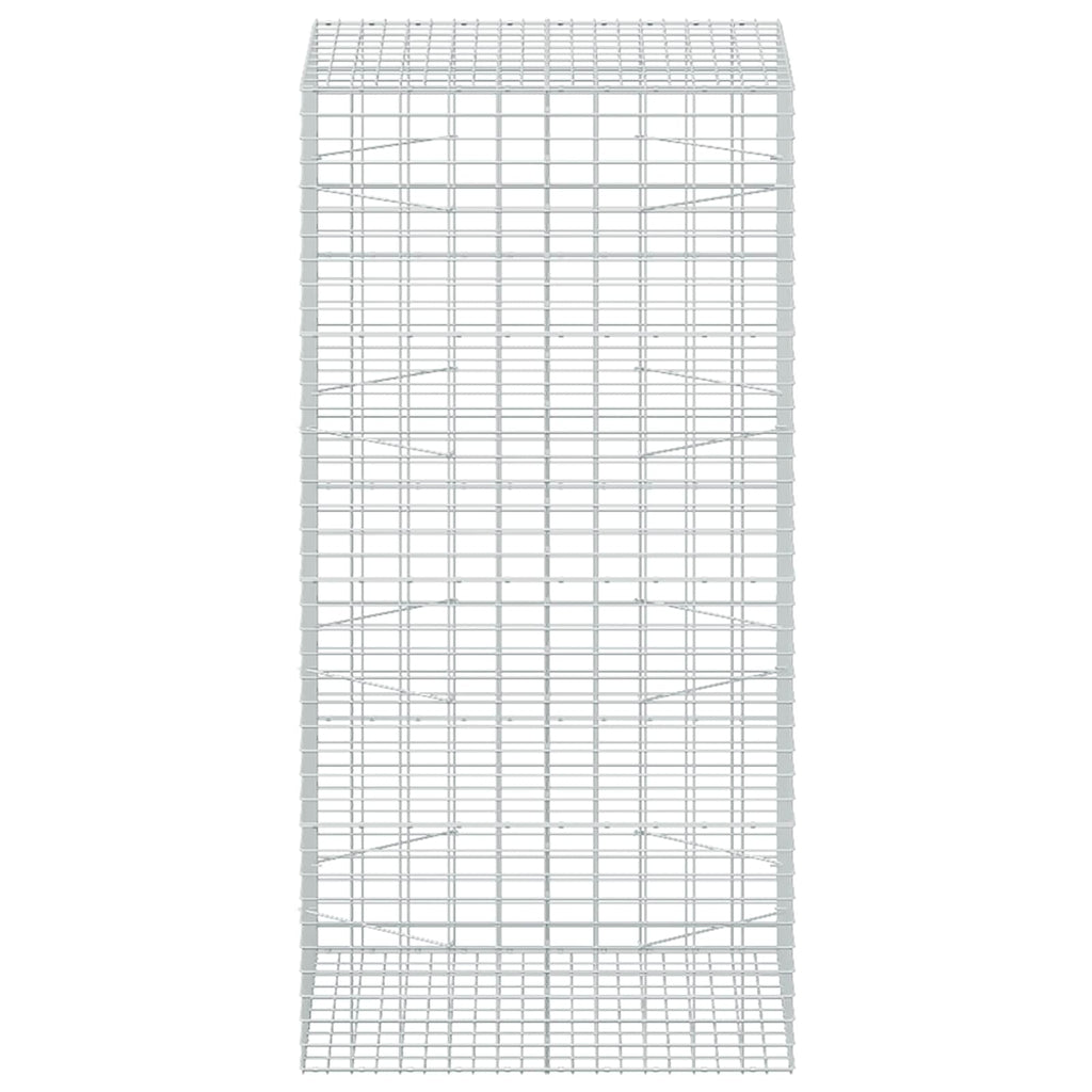vidaXL Gabion z drutu 3,5 mm i siatką 5x10 cm 100x100x200 cm
