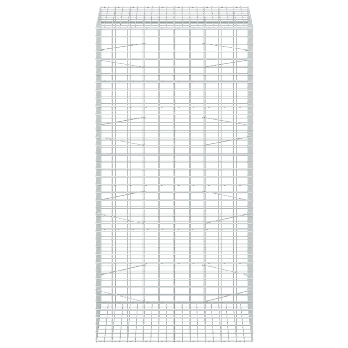 vidaXL Gabion z drutu 3,5 mm i siatką 5x10 cm 100x100x200 cm