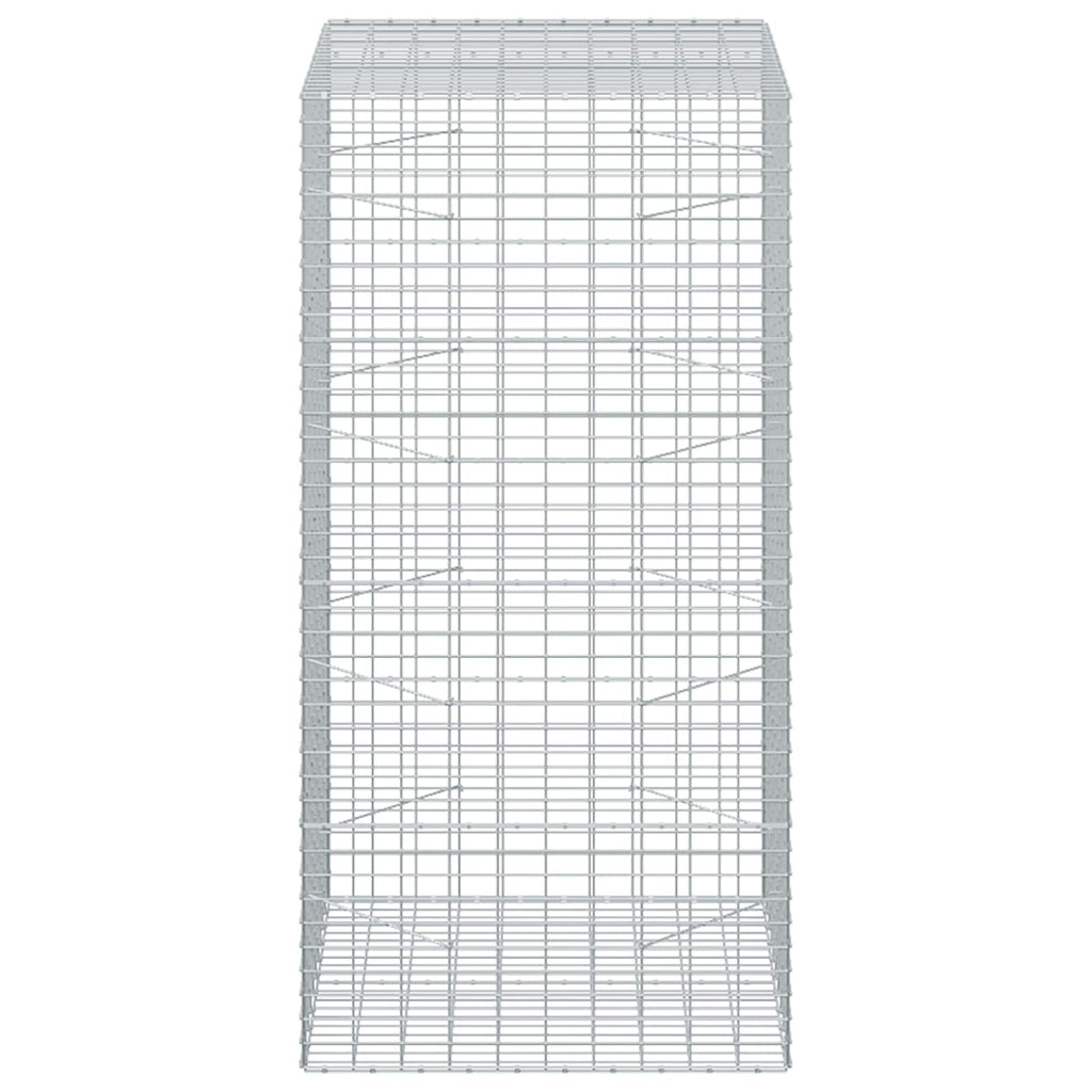 vidaXL Gabion z drutu 3,5 mm i siatką 5x10 cm 100x100x200 cm