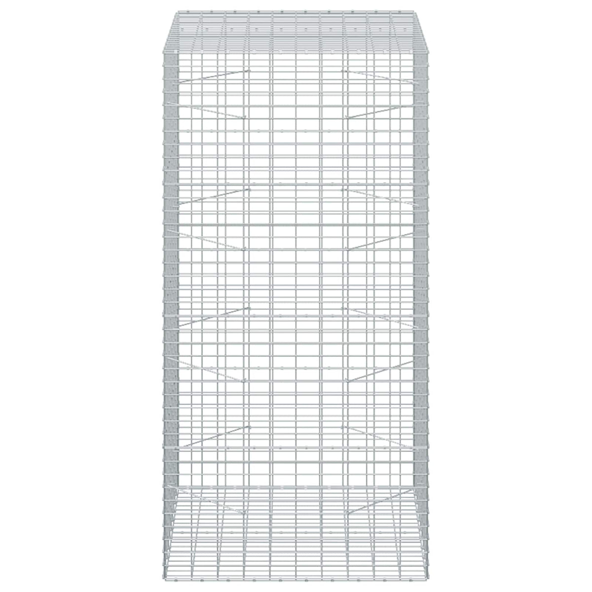 vidaXL Gabion z drutu 3,5 mm i siatką 5x10 cm 100x100x200 cm