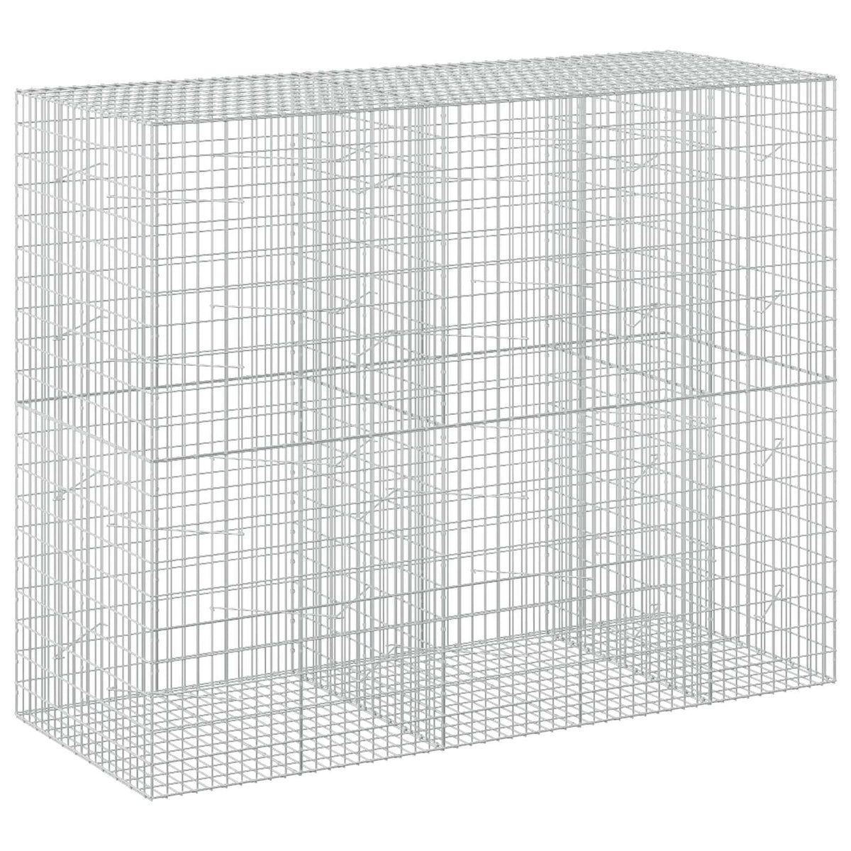 vidaXL Gabion z drutu 3,5 mm i siatką 5x10 cm 250x100x200 cm