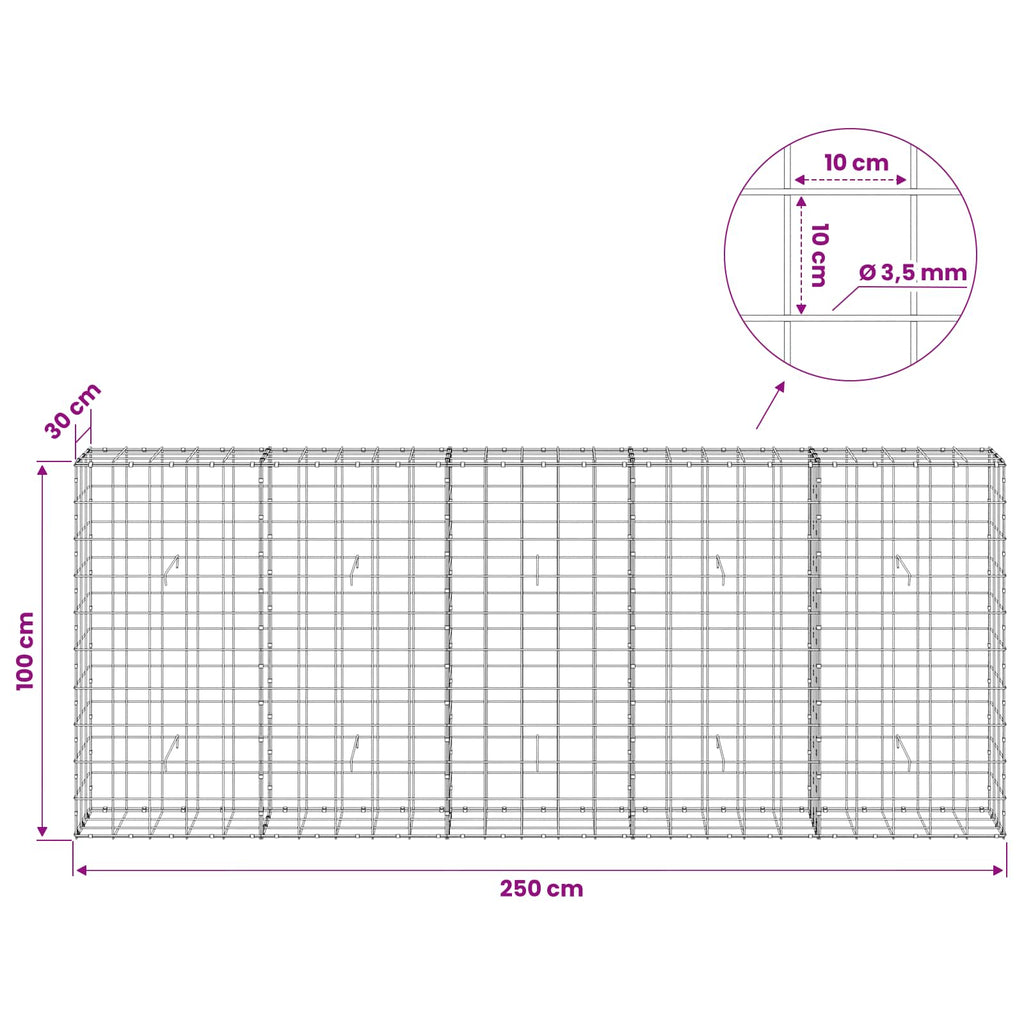 vidaXL Gabion z drutu 3,5 mm i siatką 10x10 cm 250x30x100 cm