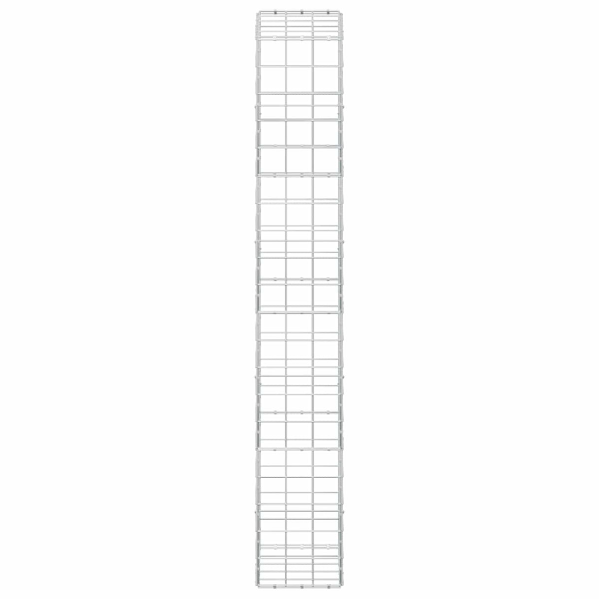 vidaXL Gabion z drutu 3,5 mm i siatką 10x10 cm 50x30x200 cm