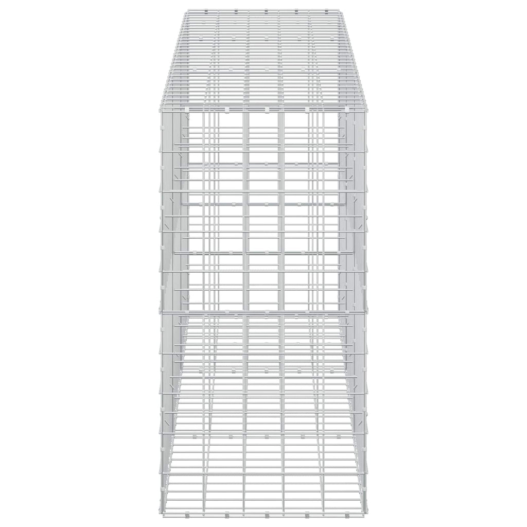 vidaXL Gabion z drutu 3,5 mm i siatką 10x10 cm 300x50x100 cm