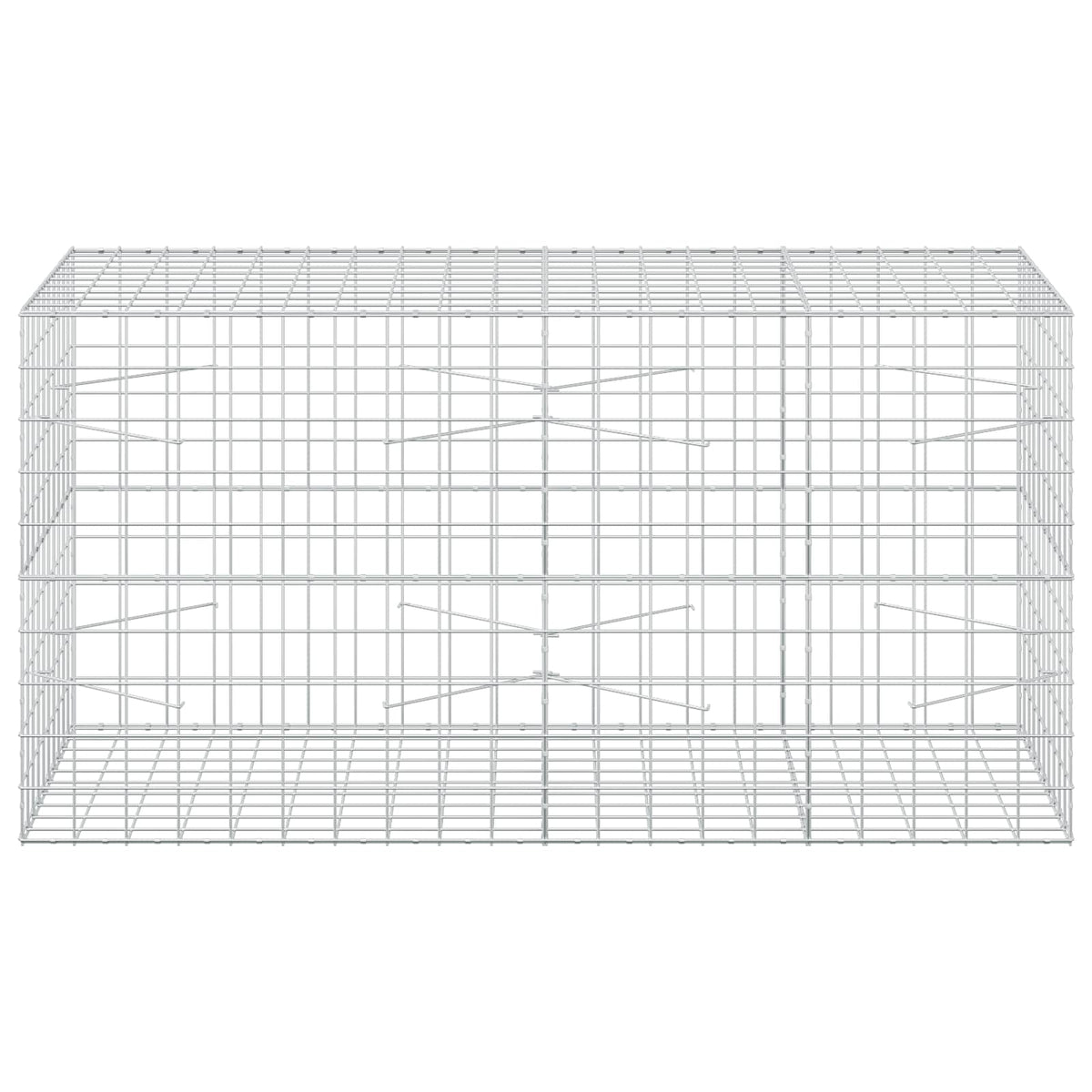 vidaXL Gabion z drutu 3,5 mm i siatką 10x10 cm 200x100x100 cm