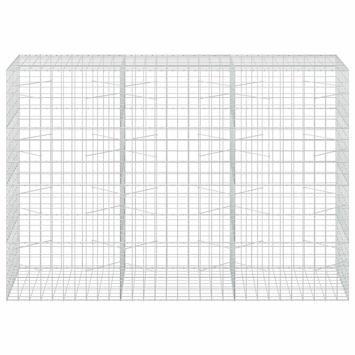 vidaXL Gabion z drutu 3,5 mm i siatką 10x10 cm 300x100x200 cm