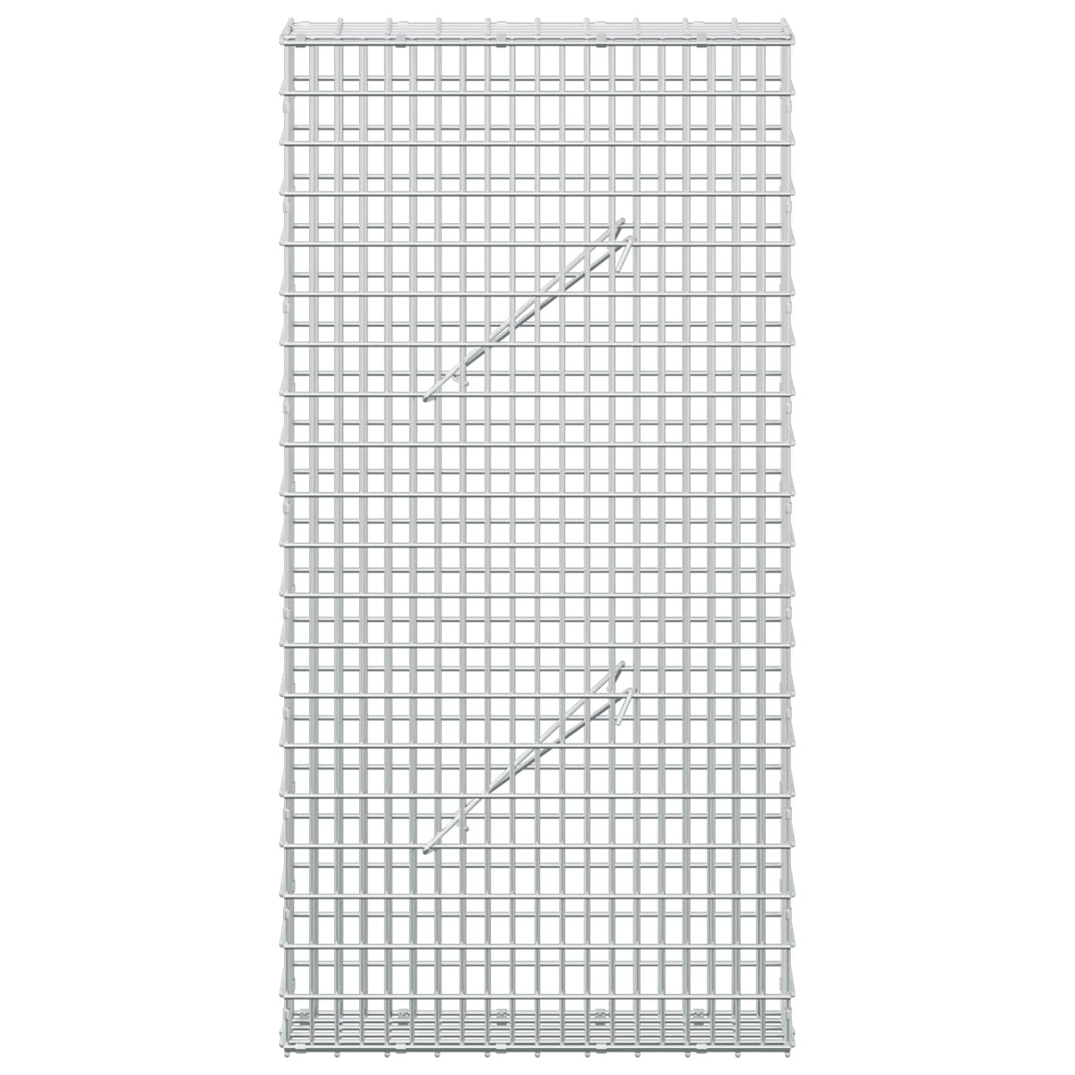 vidaXL Gabion z drutem 5 mm i siatką 5x2,5 cm 50x10x100 cm
