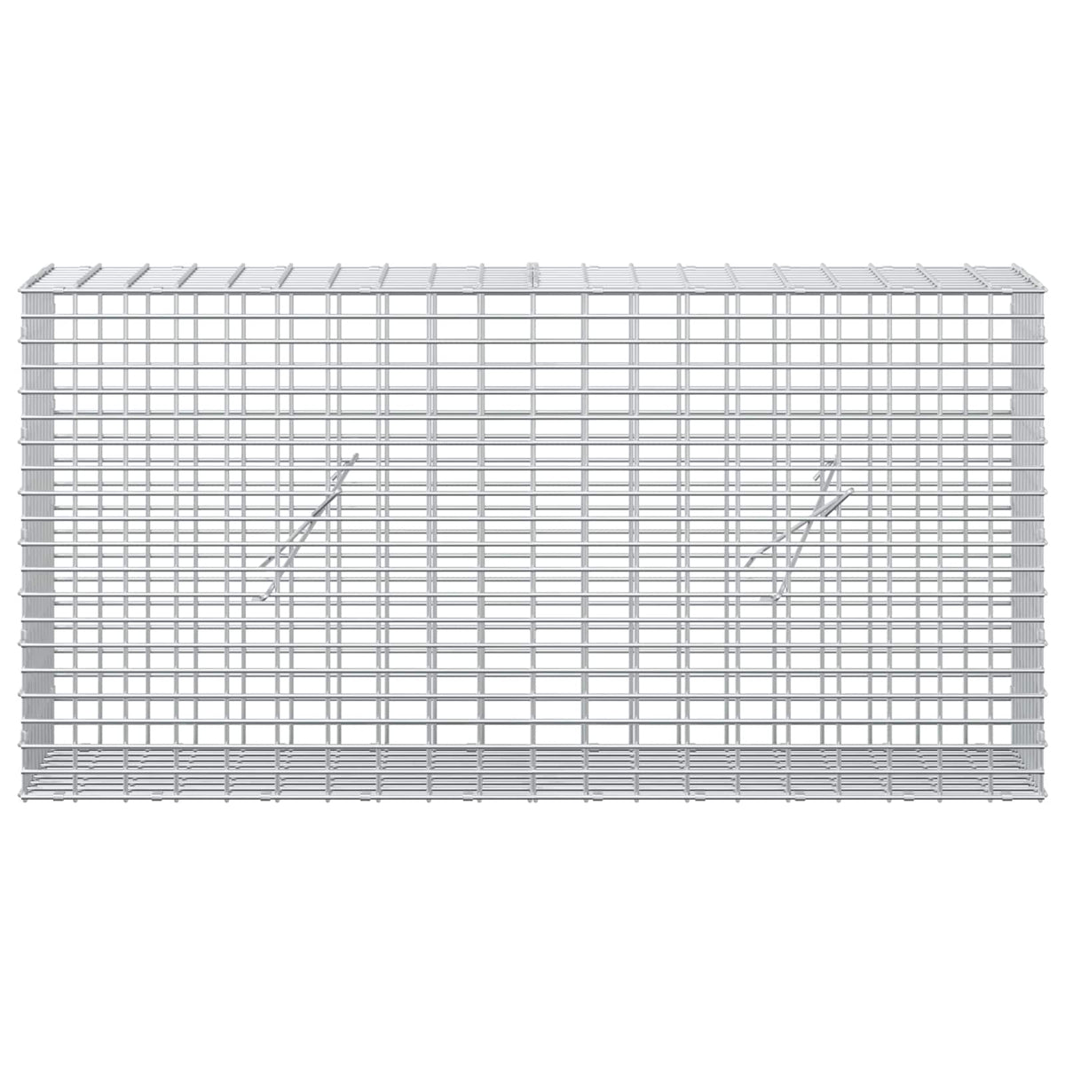 vidaXL Gabion z drutem 5 mm i siatką 5x2,5 cm 100x20x50 cm