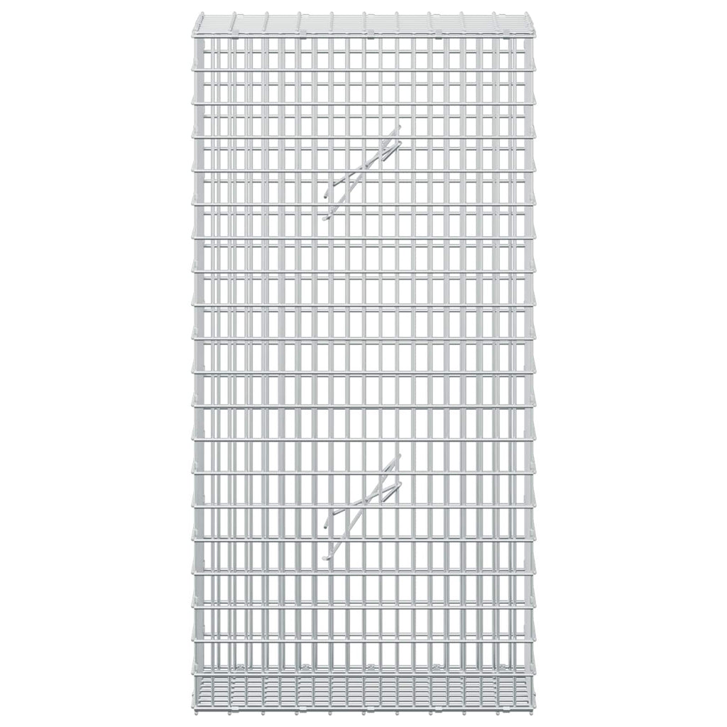 vidaXL Gabion z drutem 5 mm i siatką 5x2,5 cm 50x20x100 cm