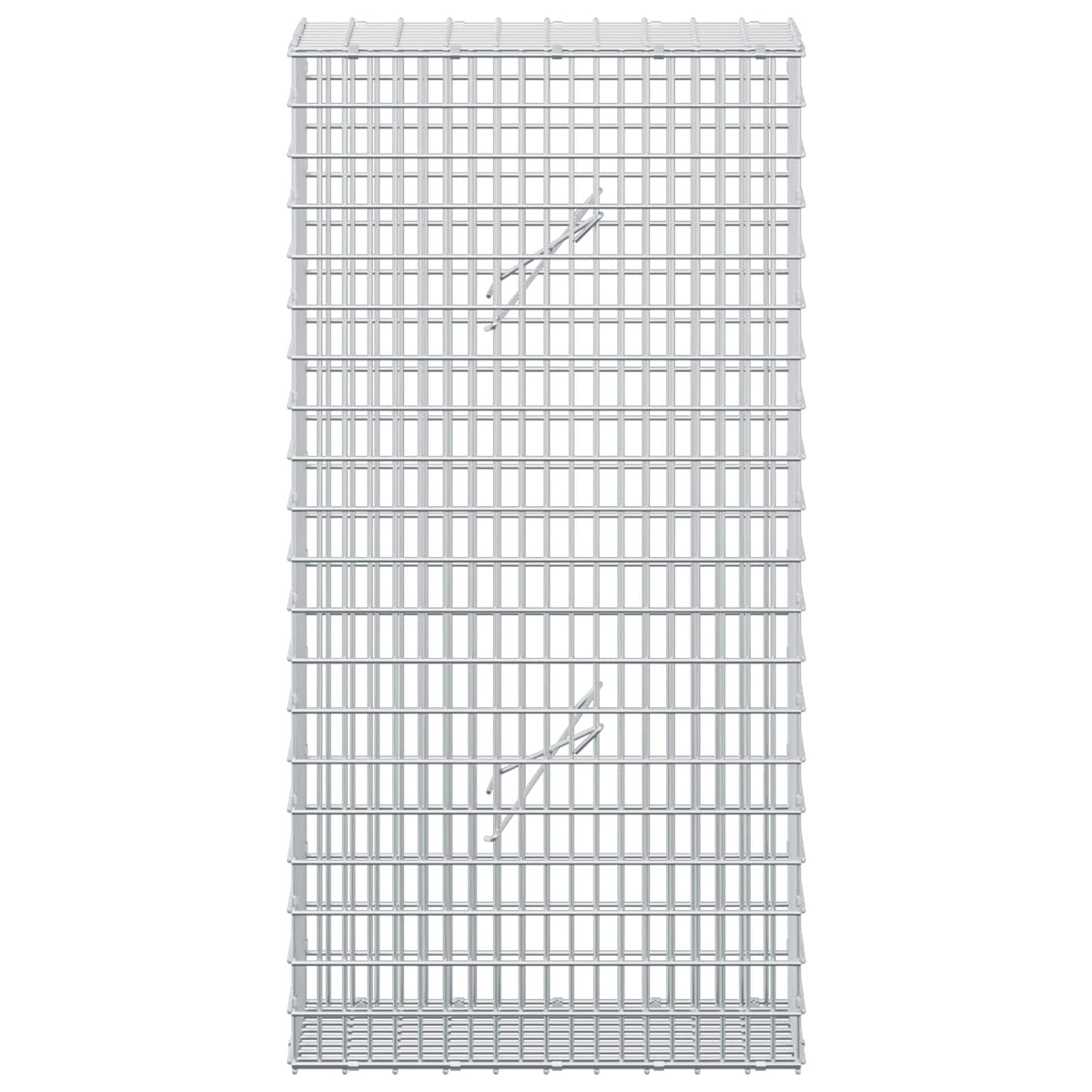 vidaXL Gabion z drutem 5 mm i siatką 5x2,5 cm 50x20x100 cm