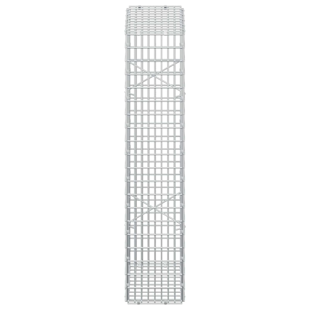 vidaXL Gabion z drutem 5 mm i siatką 5x2,5 cm 50x20x100 cm