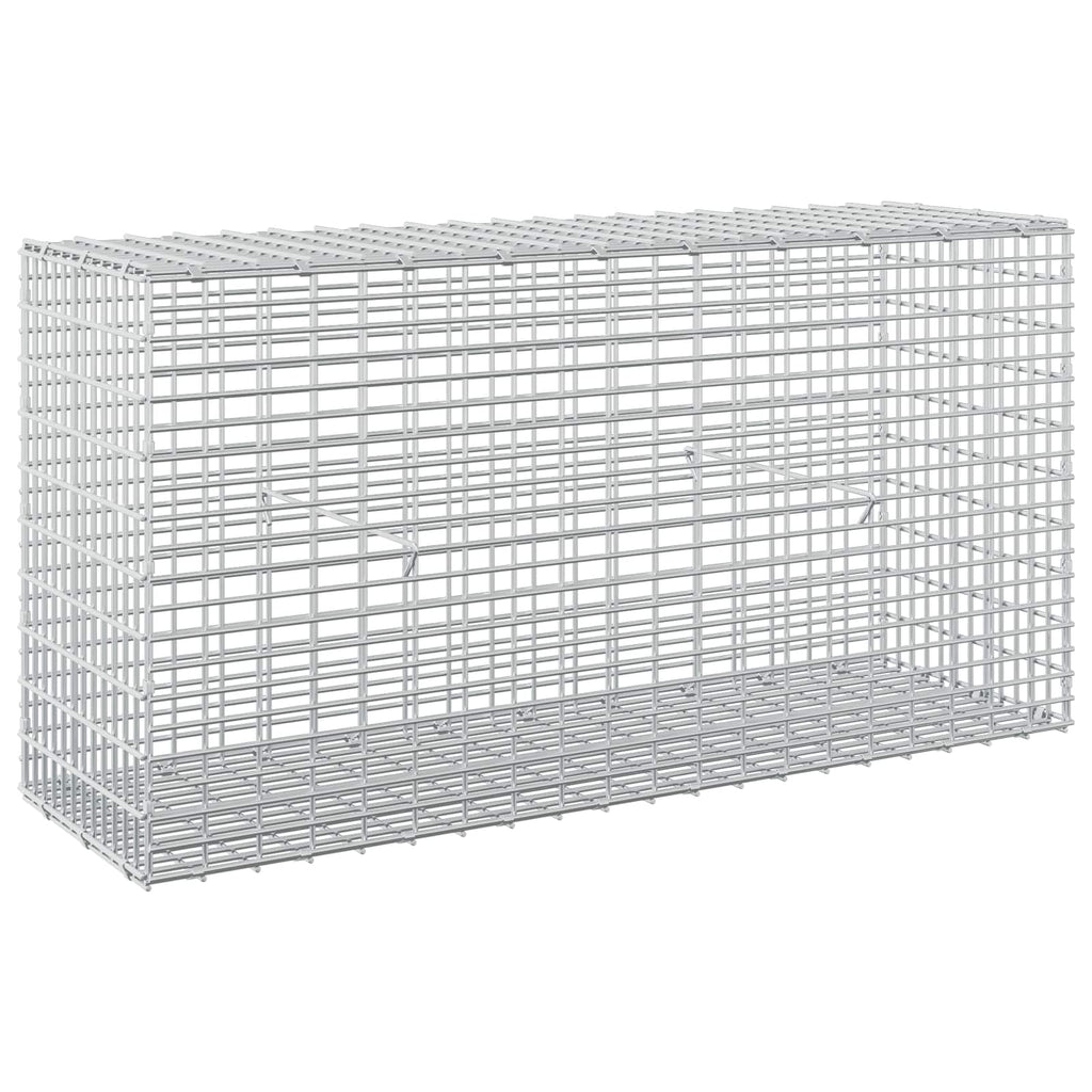 vidaXL Gabion z drutem 5 mm i siatką 5x2,5 cm 100x30x50 cm