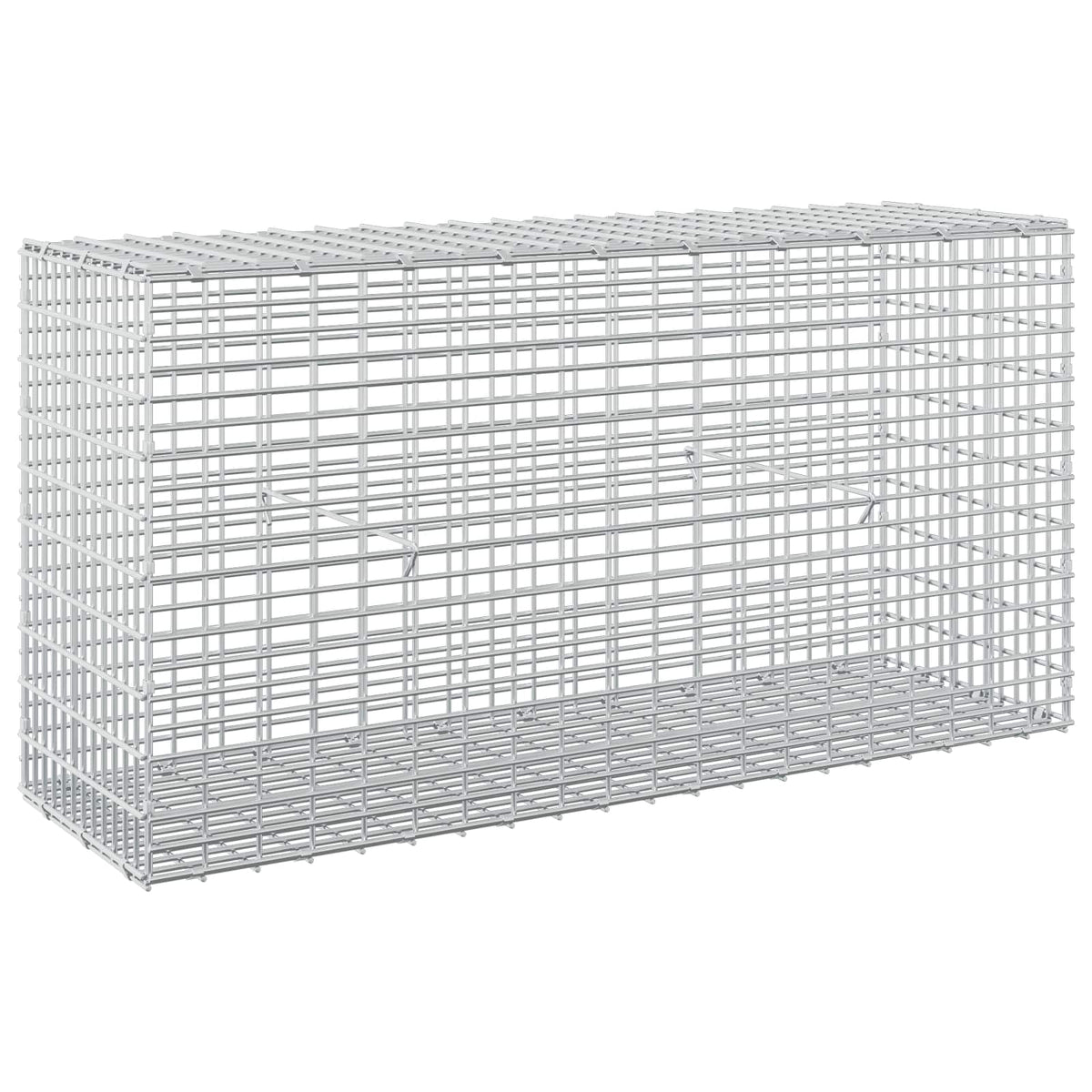 vidaXL Gabion z drutem 5 mm i siatką 5x2,5 cm 100x30x50 cm