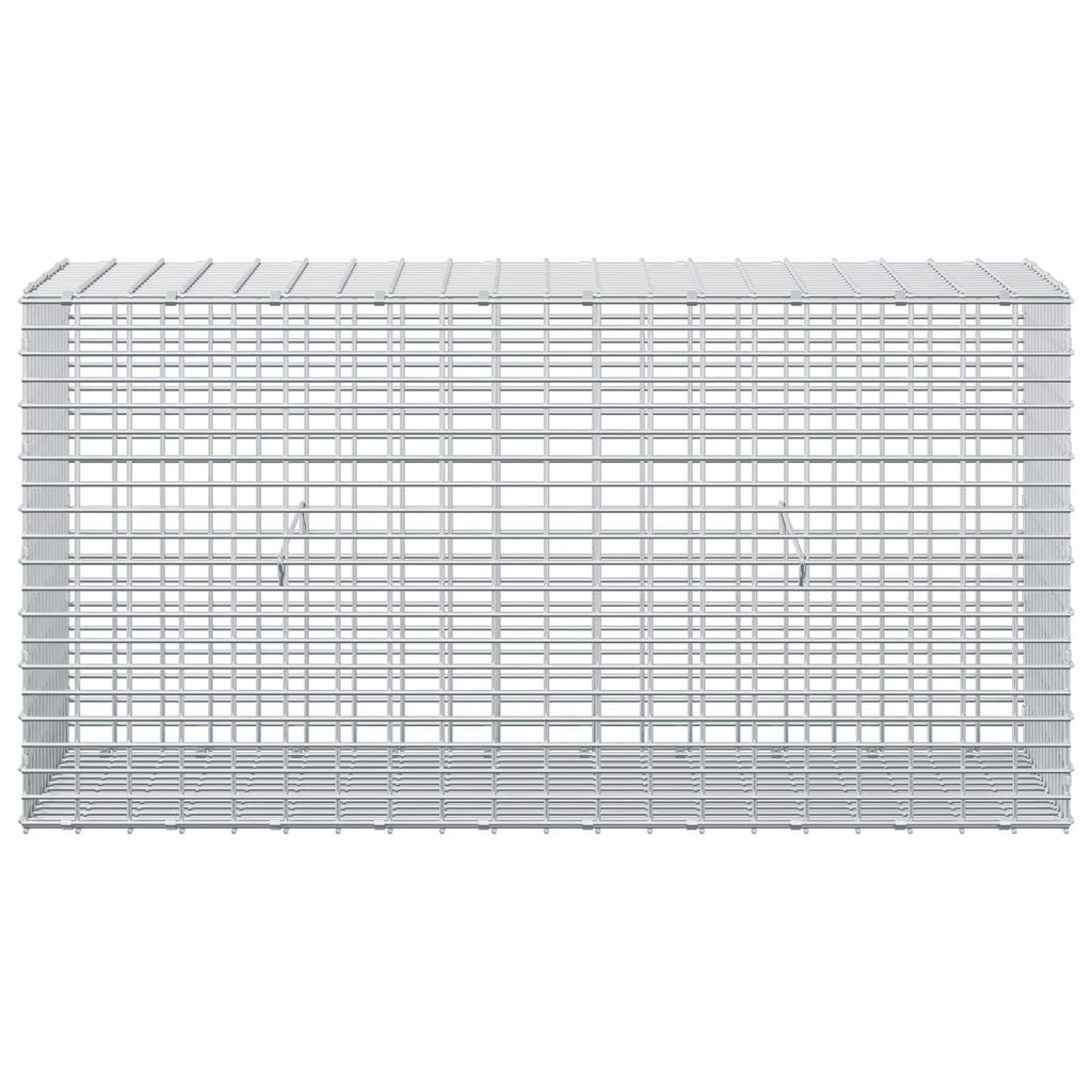 vidaXL Gabion z drutem 5 mm i siatką 5x2,5 cm 100x30x50 cm