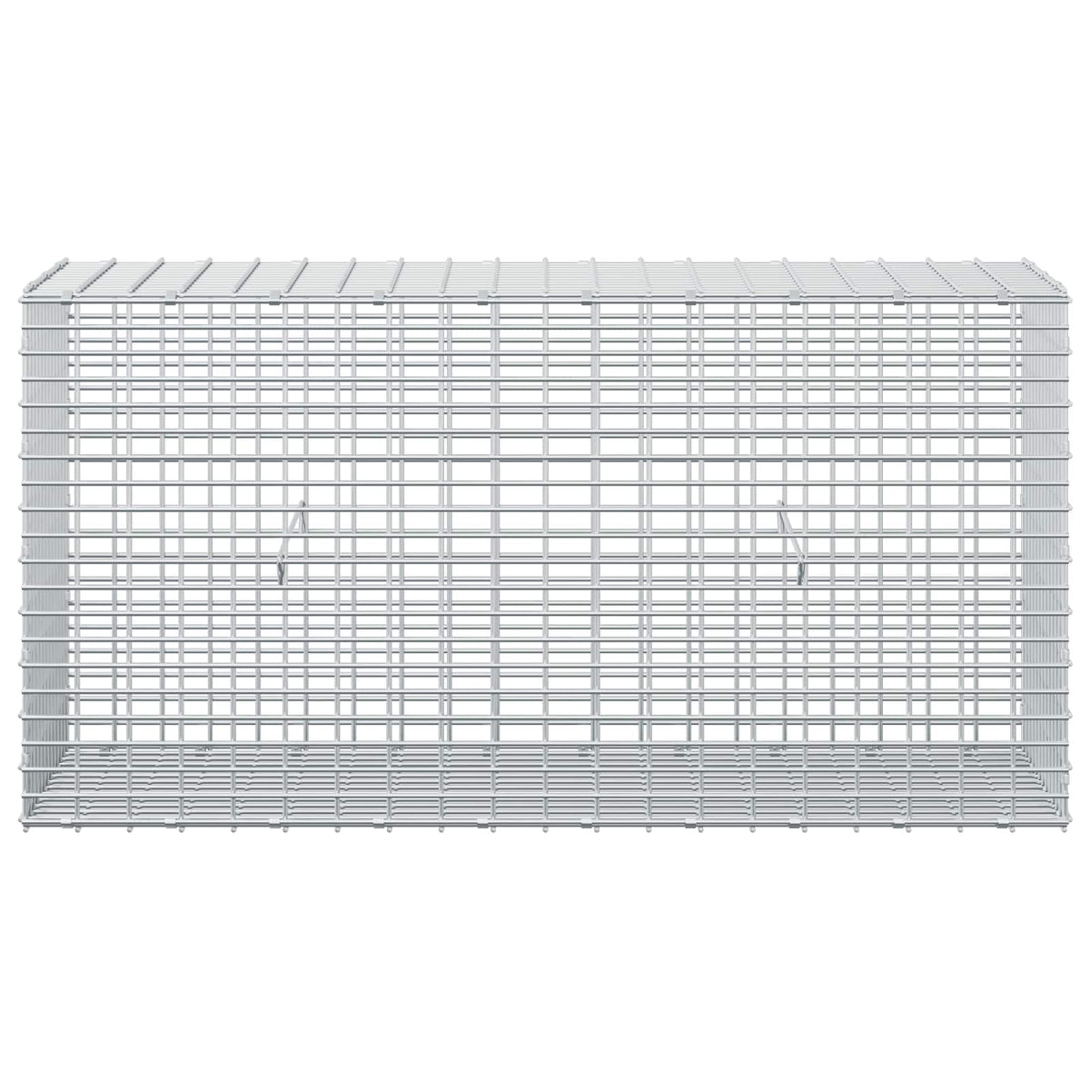 vidaXL Gabion z drutem 5 mm i siatką 5x2,5 cm 100x30x50 cm
