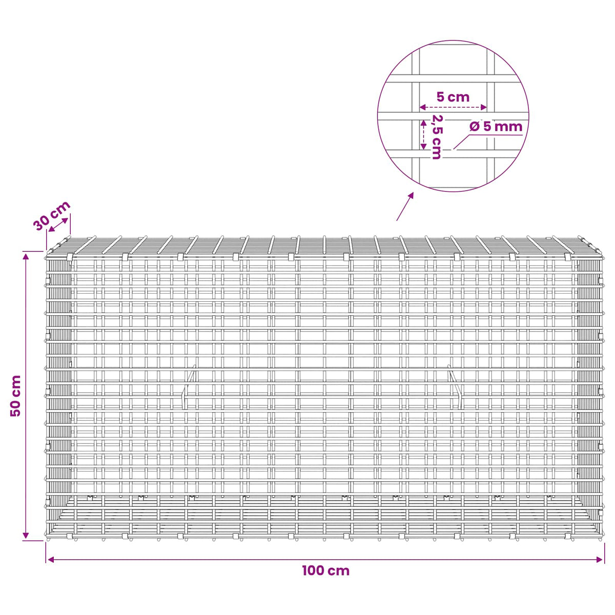 vidaXL Gabion z drutem 5 mm i siatką 5x2,5 cm 100x30x50 cm