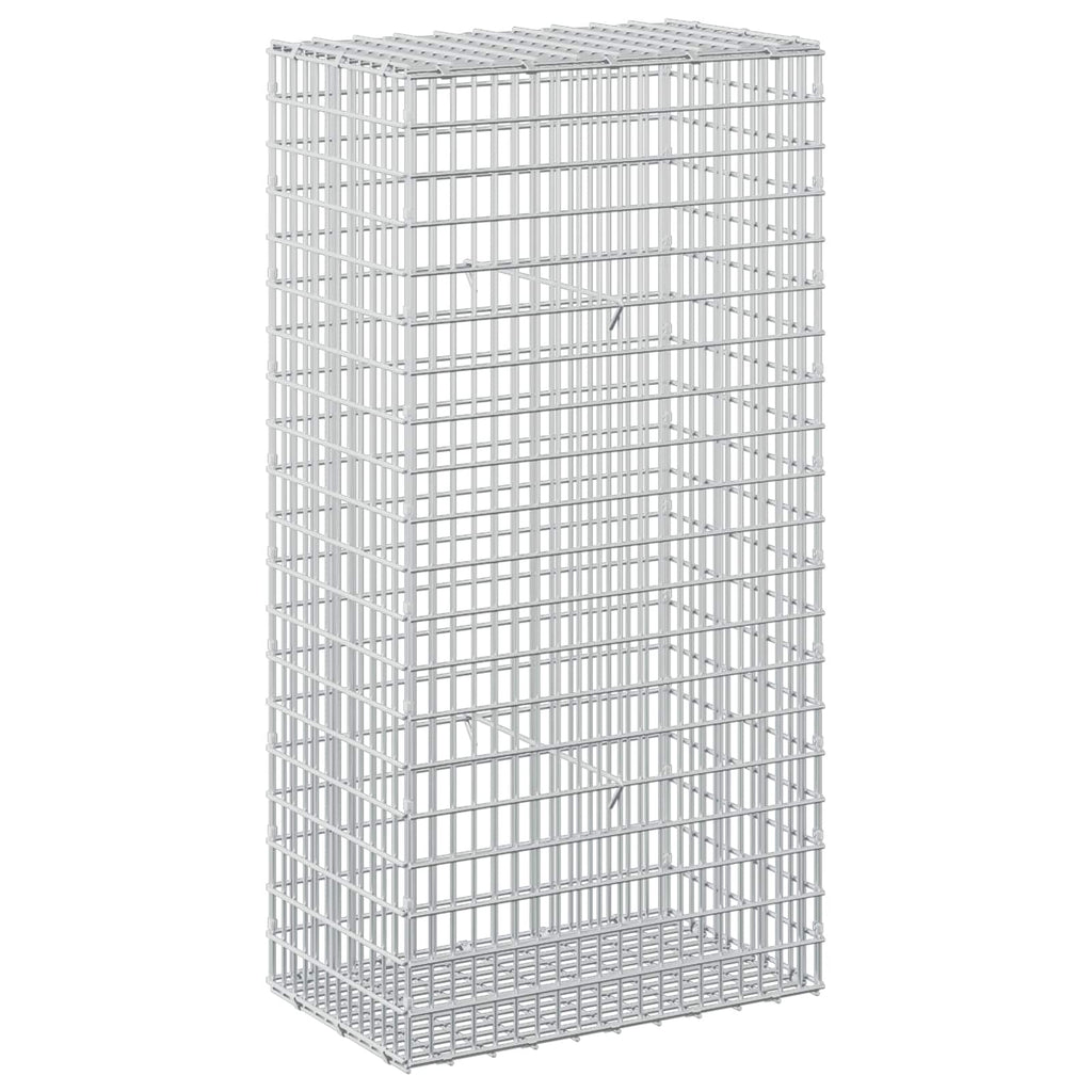 vidaXL Gabion z drutem 5 mm i siatką 5x2,5 cm 50x30x100 cm
