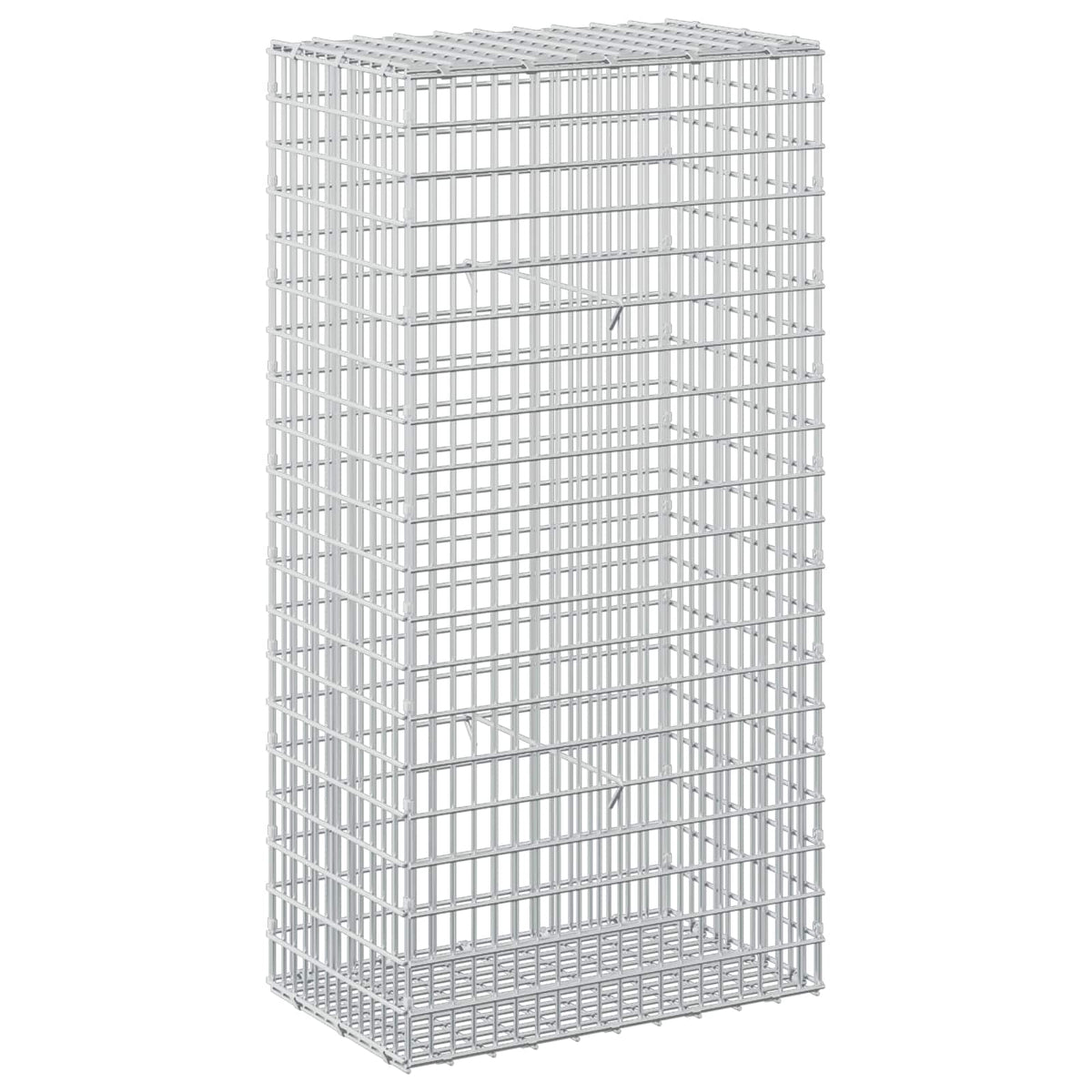 vidaXL Gabion z drutem 5 mm i siatką 5x2,5 cm 50x30x100 cm