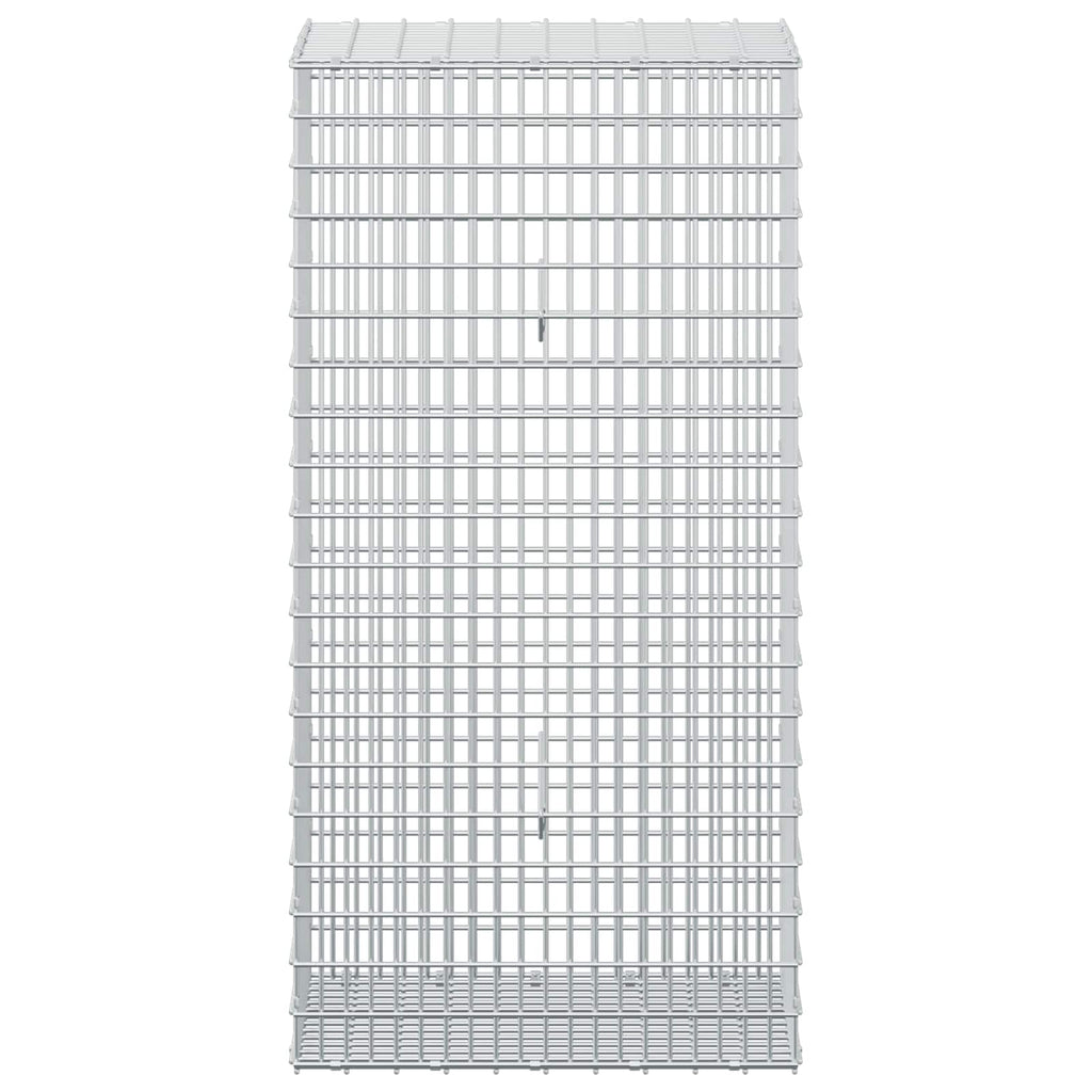 vidaXL Gabion z drutem 5 mm i siatką 5x2,5 cm 50x30x100 cm