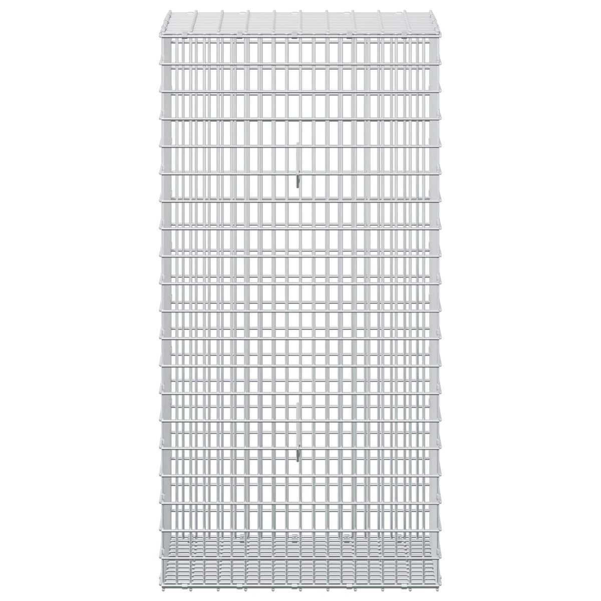 vidaXL Gabion z drutem 5 mm i siatką 5x2,5 cm 50x30x100 cm