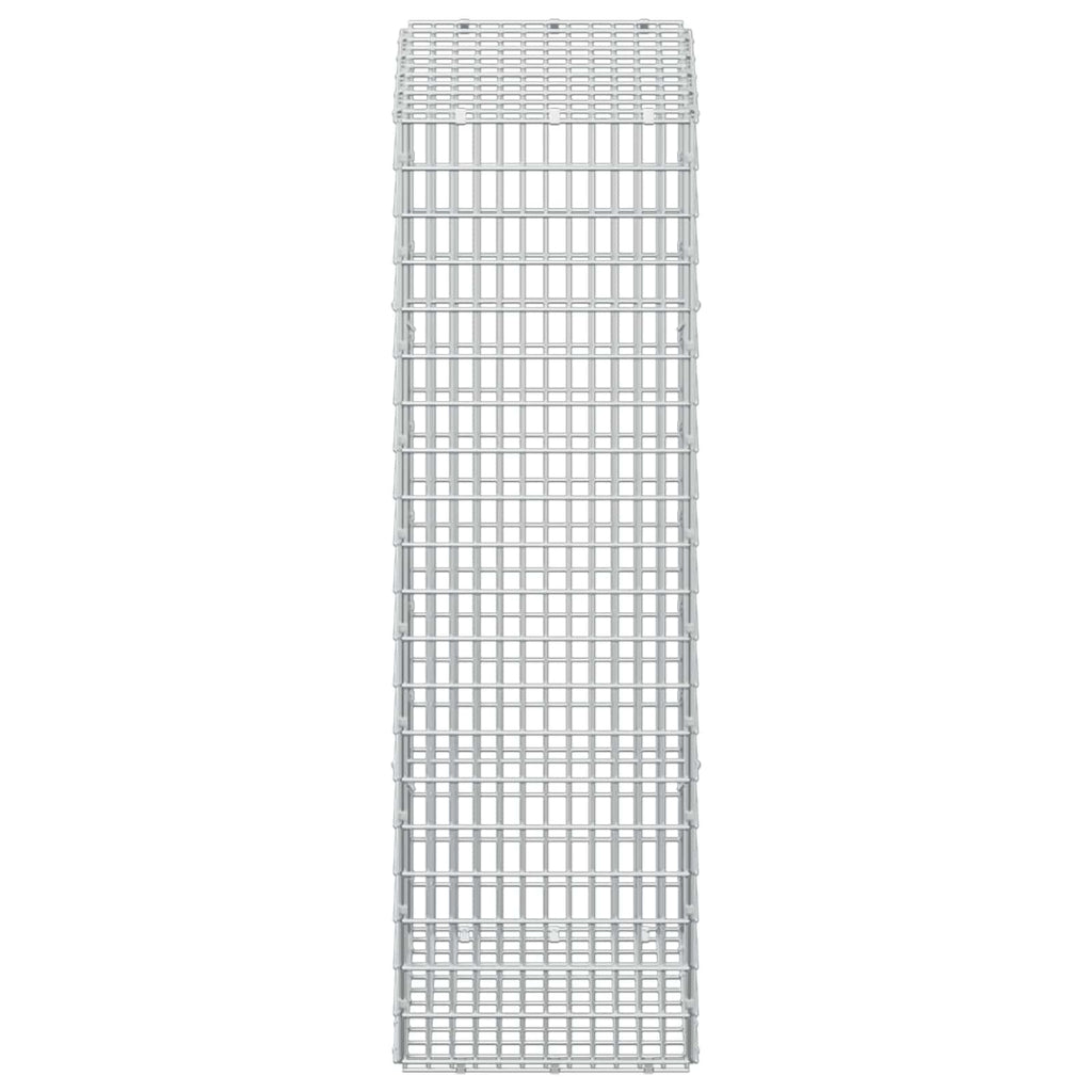 vidaXL Gabion z drutem 5 mm i siatką 5x2,5 cm 50x30x100 cm