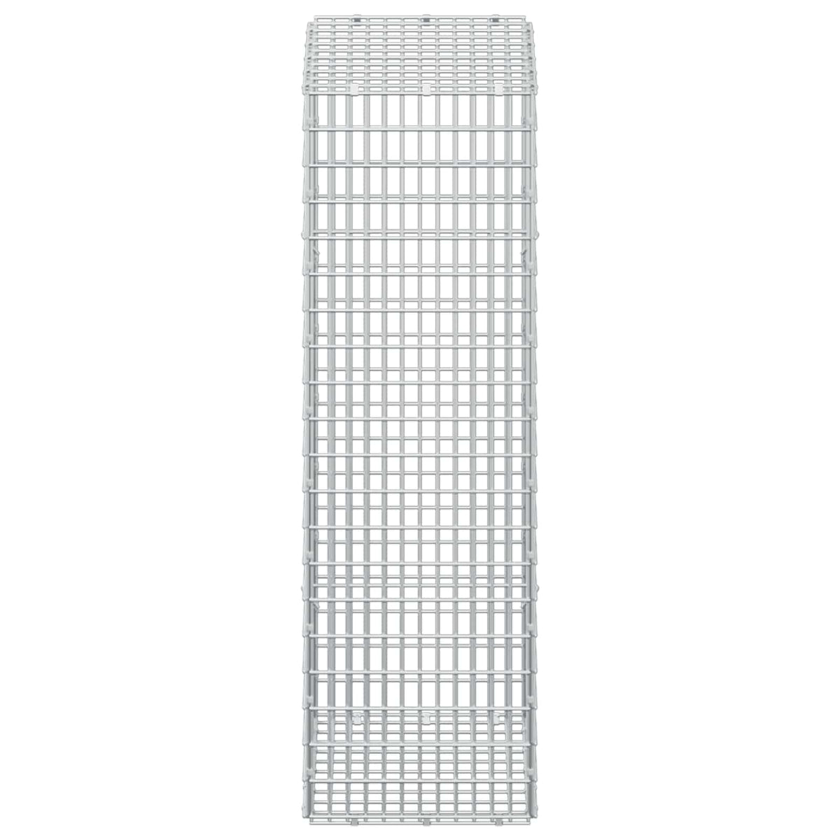 vidaXL Gabion z drutem 5 mm i siatką 5x2,5 cm 50x30x100 cm