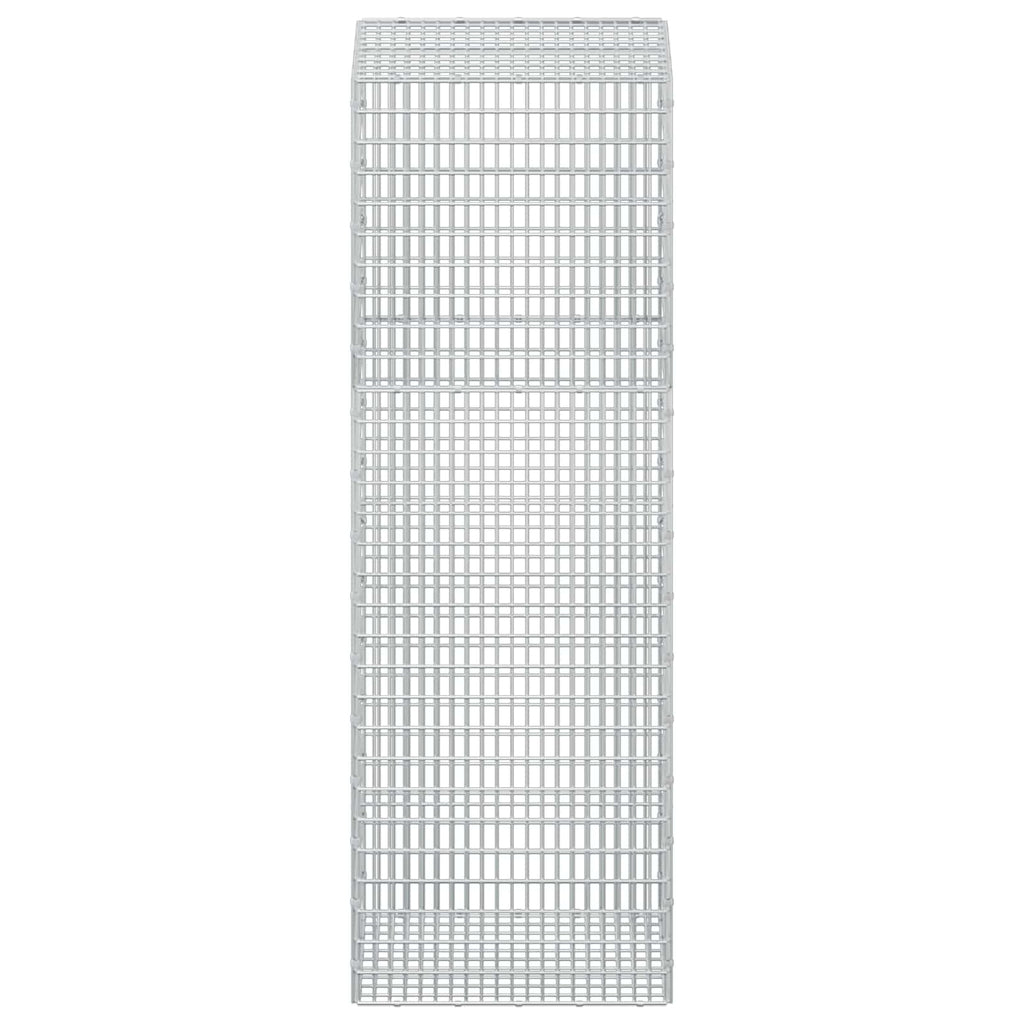 vidaXL Gabion z drutem 5 mm i siatką 5x2,5 cm 50x50x150 cm