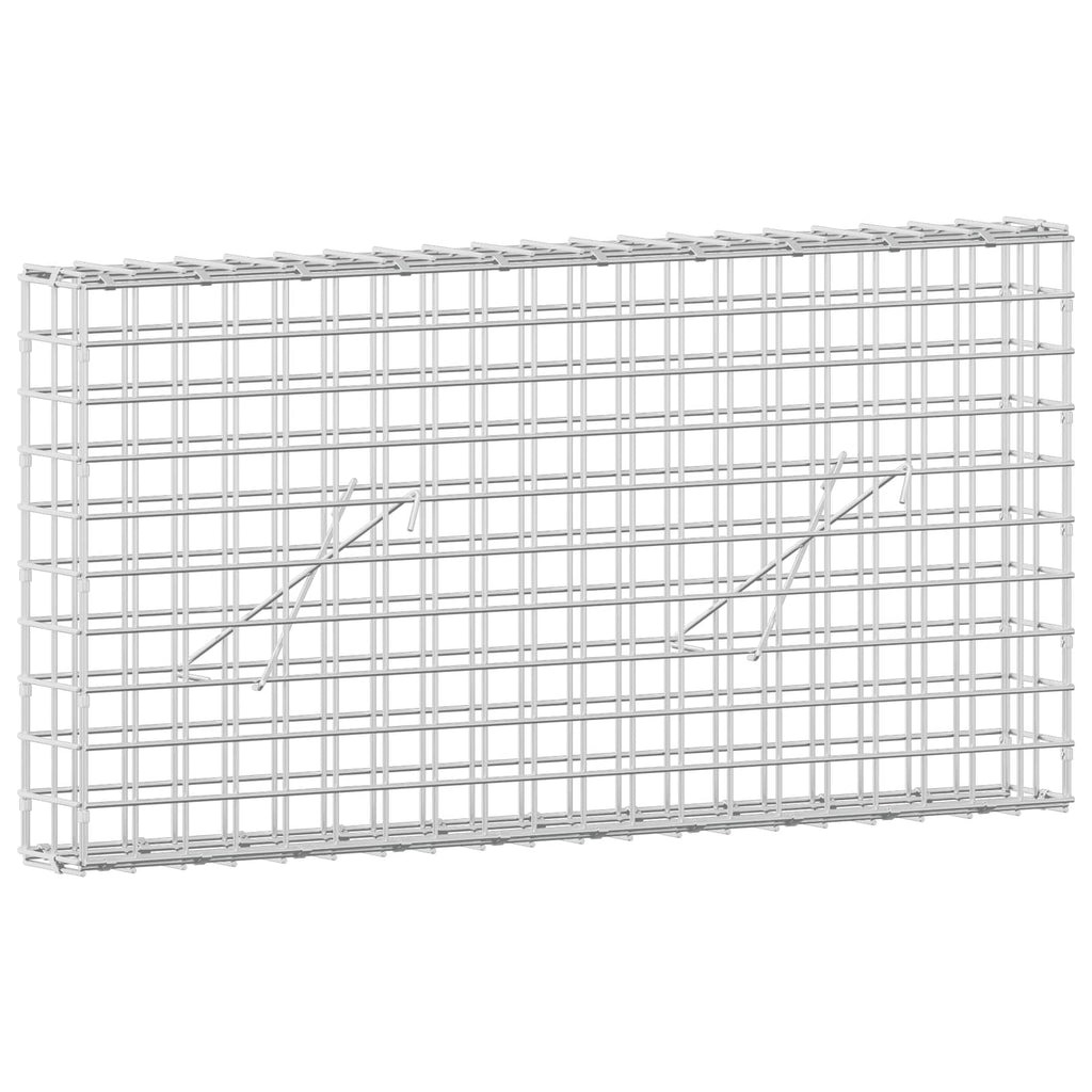 vidaXL Gabion z drutu 5 mm i siatką 5x5 cm 100x10x50 cm