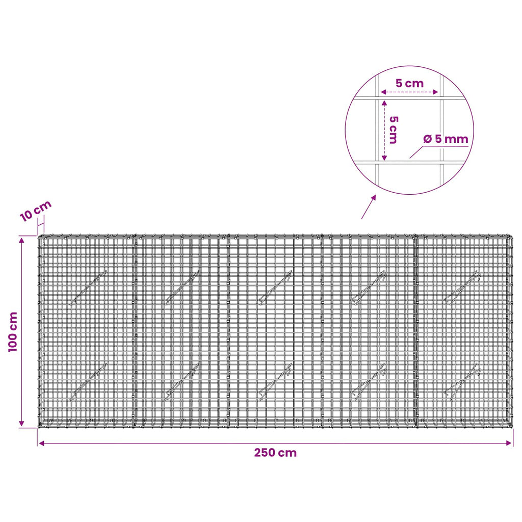 vidaXL Gabion z drutu 5 mm i siatką 5x5 cm 250x10x100 cm