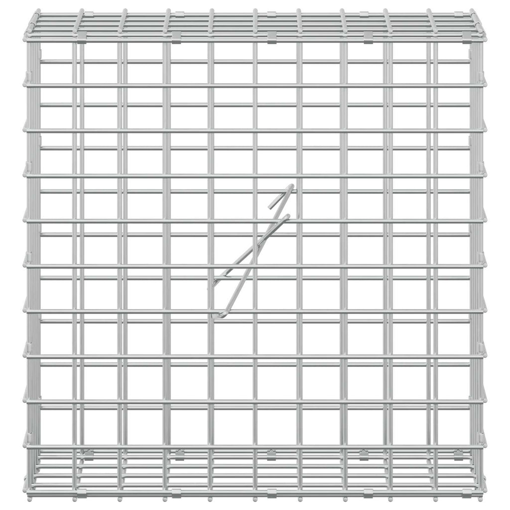 vidaXL Gabion z drutu 5 mm i siatką 5x5 cm 50x20x50 cm Stal ocynkowana