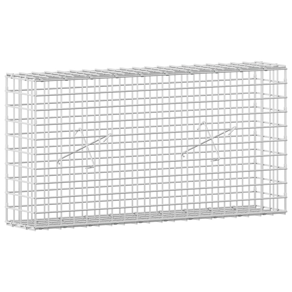 vidaXL Gabion z drutu 5 mm i siatką 5x5 cm 100x20x50 cm