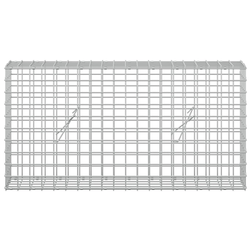 vidaXL Gabion z drutu 5 mm i siatką 5x5 cm 100x20x50 cm