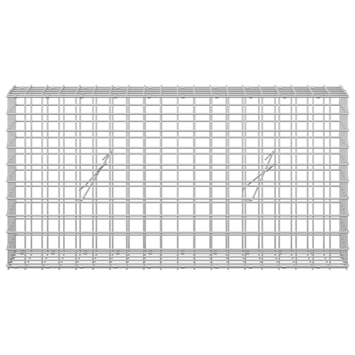 vidaXL Gabion z drutu 5 mm i siatką 5x5 cm 100x20x50 cm