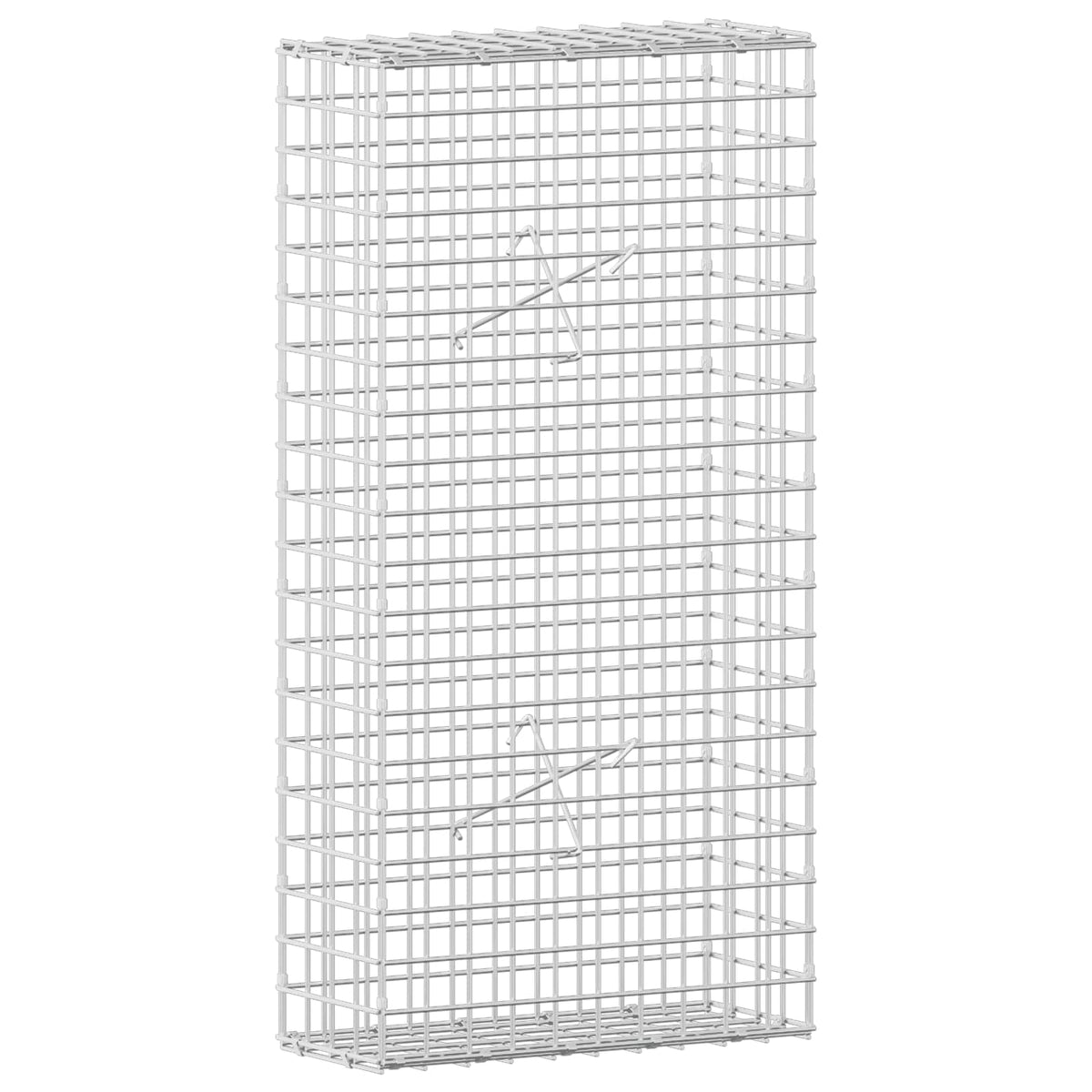 vidaXL Gabion z drutu 5 mm i siatką 5x5 cm 50x20x100 cm