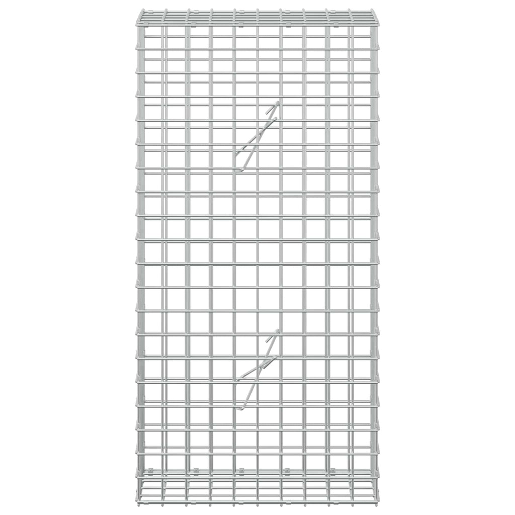 vidaXL Gabion z drutu 5 mm i siatką 5x5 cm 50x20x100 cm