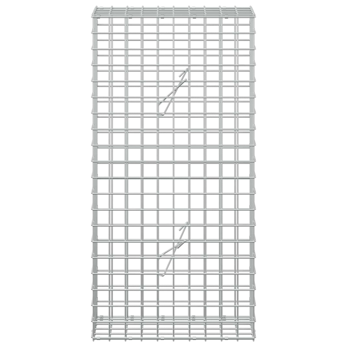 vidaXL Gabion z drutu 5 mm i siatką 5x5 cm 50x20x100 cm