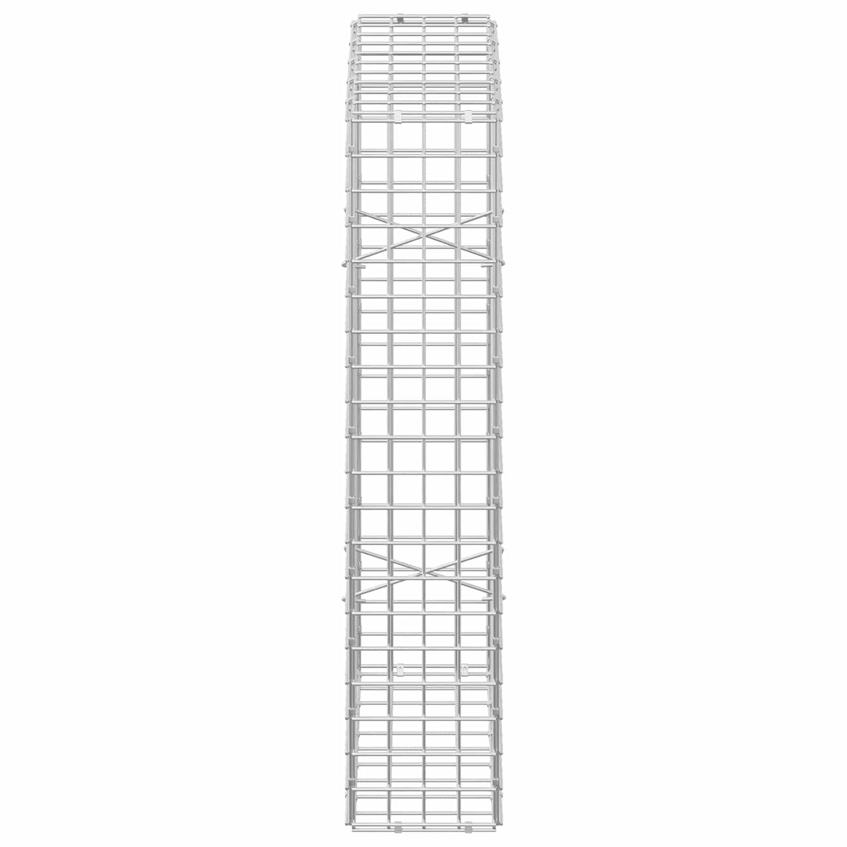 vidaXL Gabion z drutu 5 mm i siatką 5x5 cm 50x20x100 cm