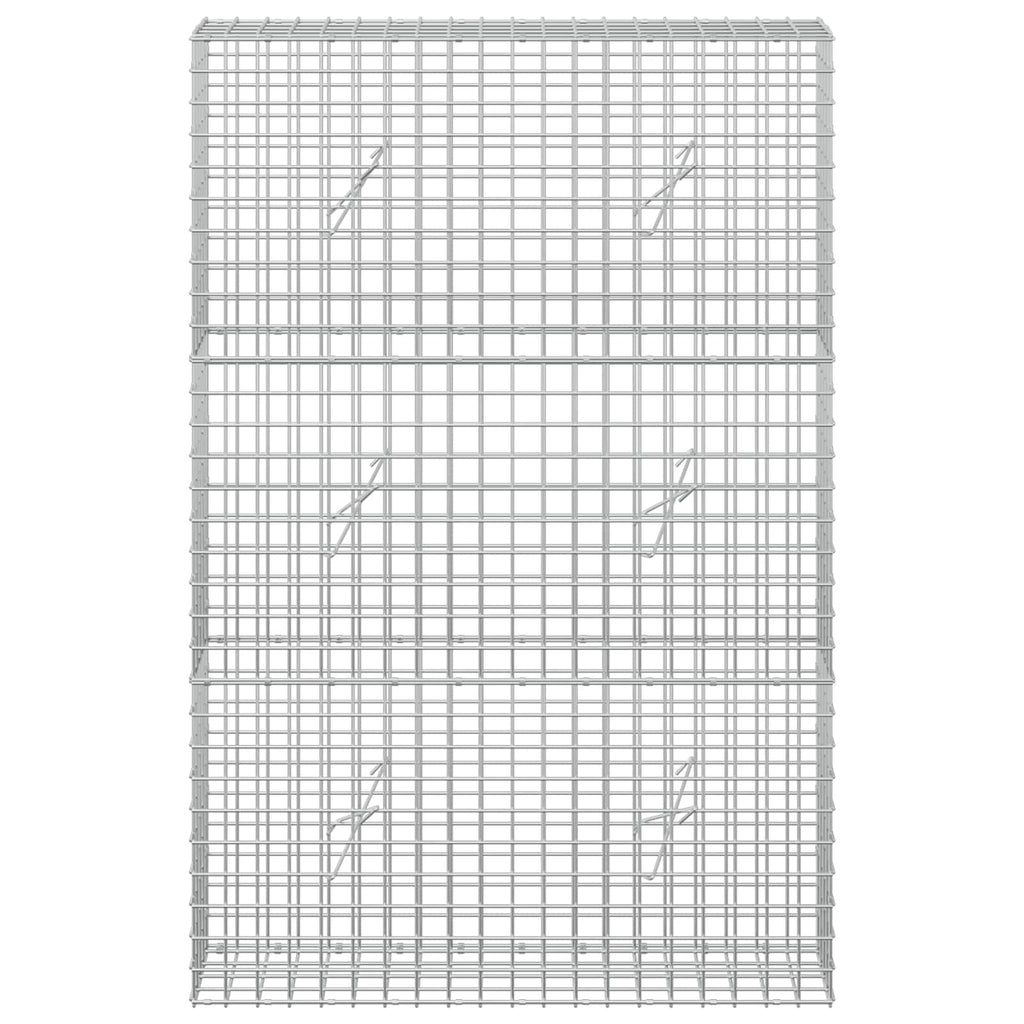 vidaXL Gabion z drutu 5 mm i siatką 5x5 cm 100x20x150 cm