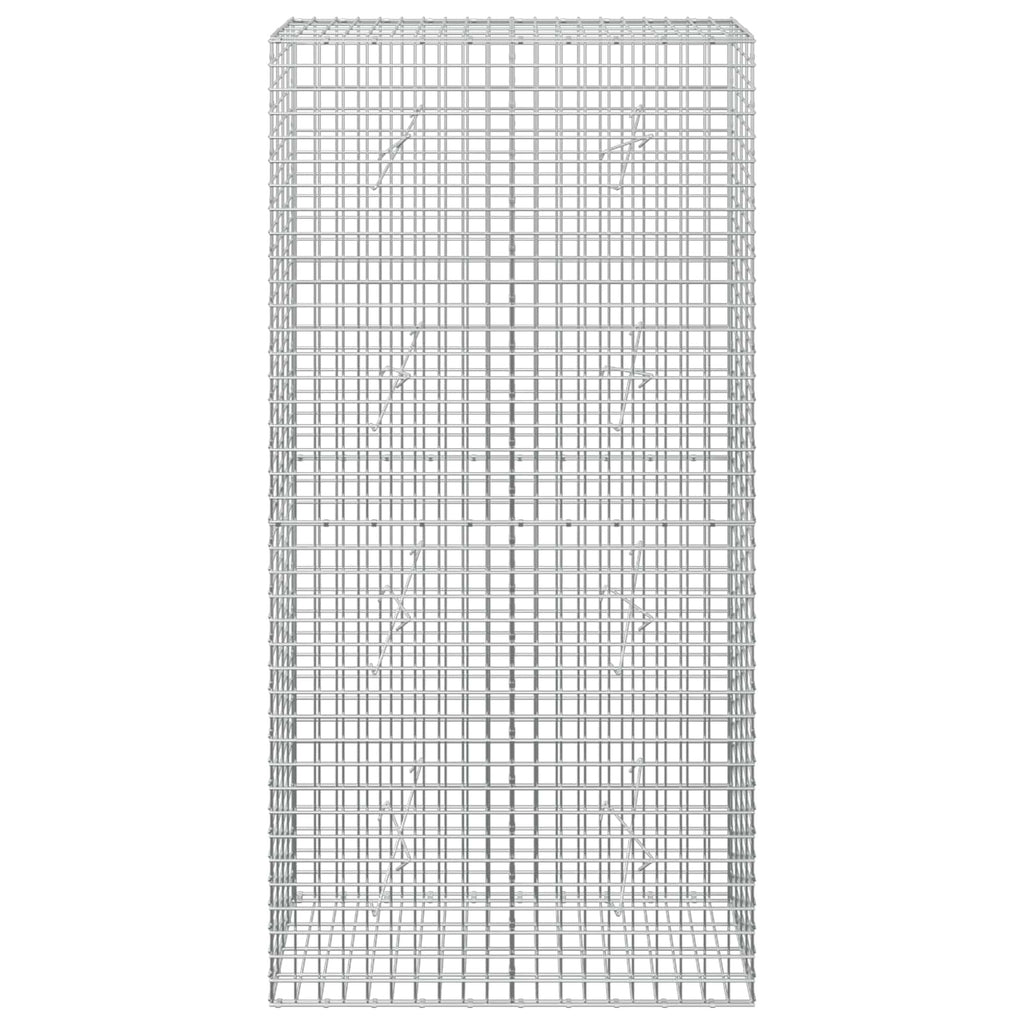 vidaXL Gabion z drutu 5 mm i siatką 5x5 cm 100x20x200 cm