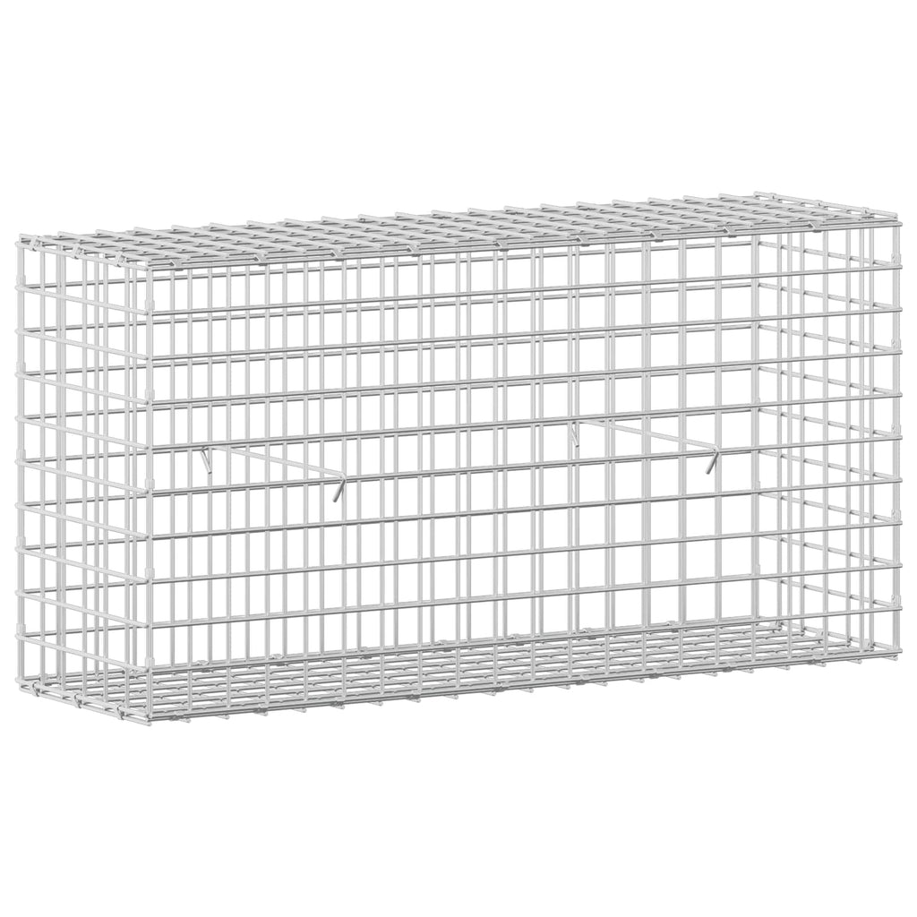 vidaXL Gabion z drutu 5 mm i siatką 5x5 cm 100x30x50 cm