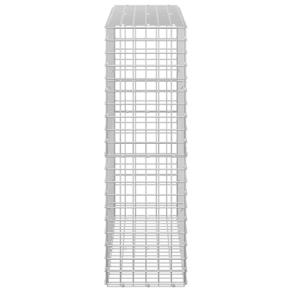 vidaXL Gabion z drutu 5 mm i siatką 5x5 cm 100x30x100 cm